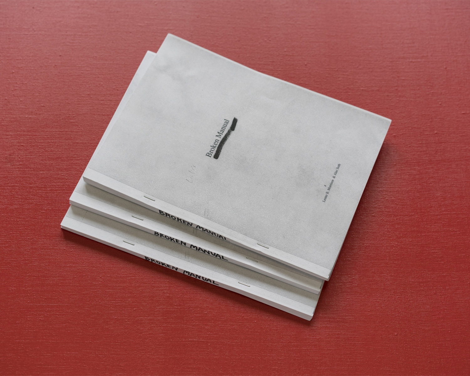 Alec Soth - Broken Manual