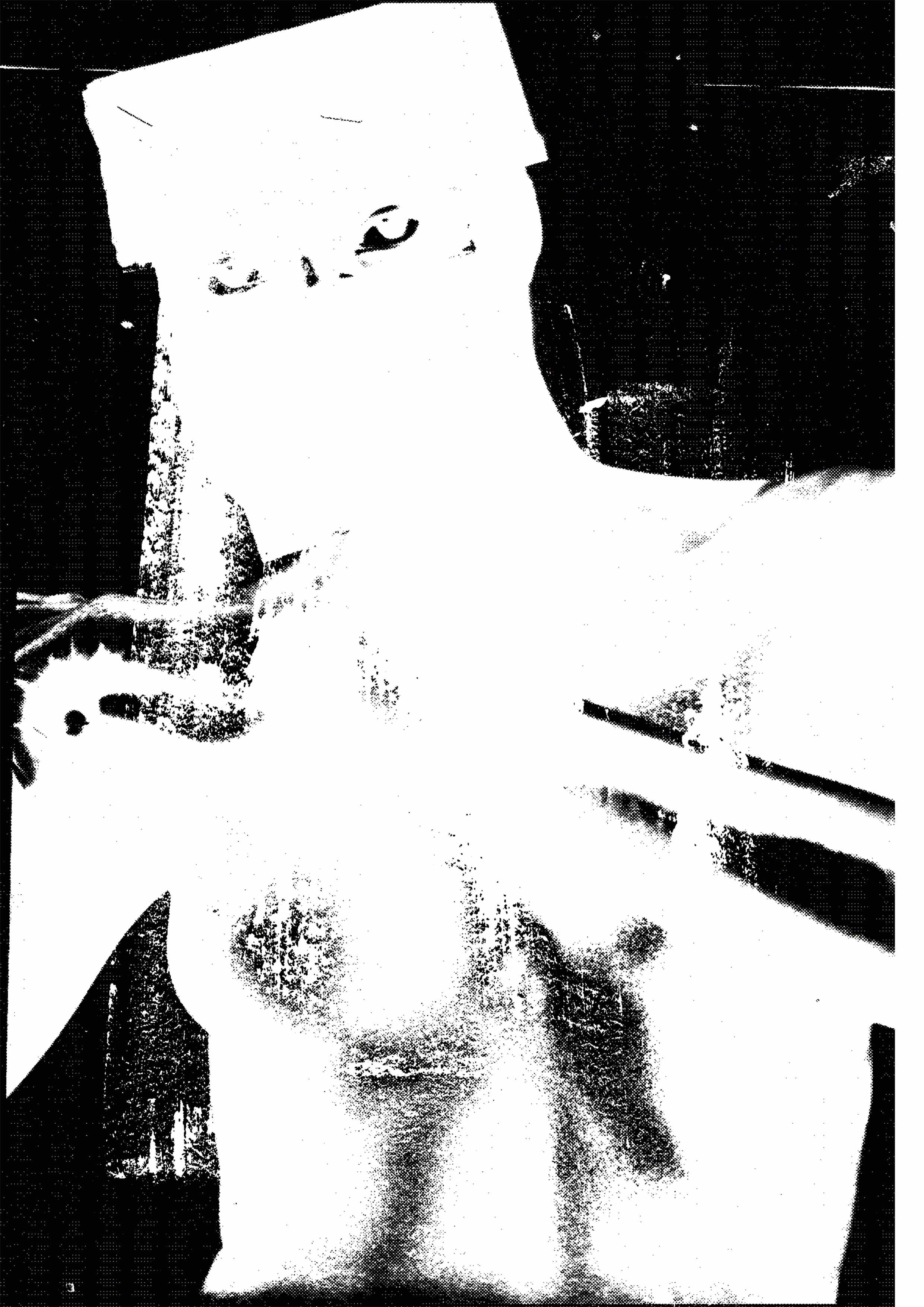 XISHOOD: I.W.A.N 1, ACRYLIC / DIGITISED, 2021