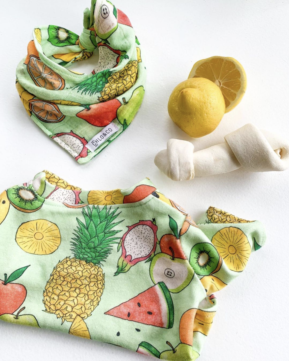 Dog Apparel for Chlo & Co NY +