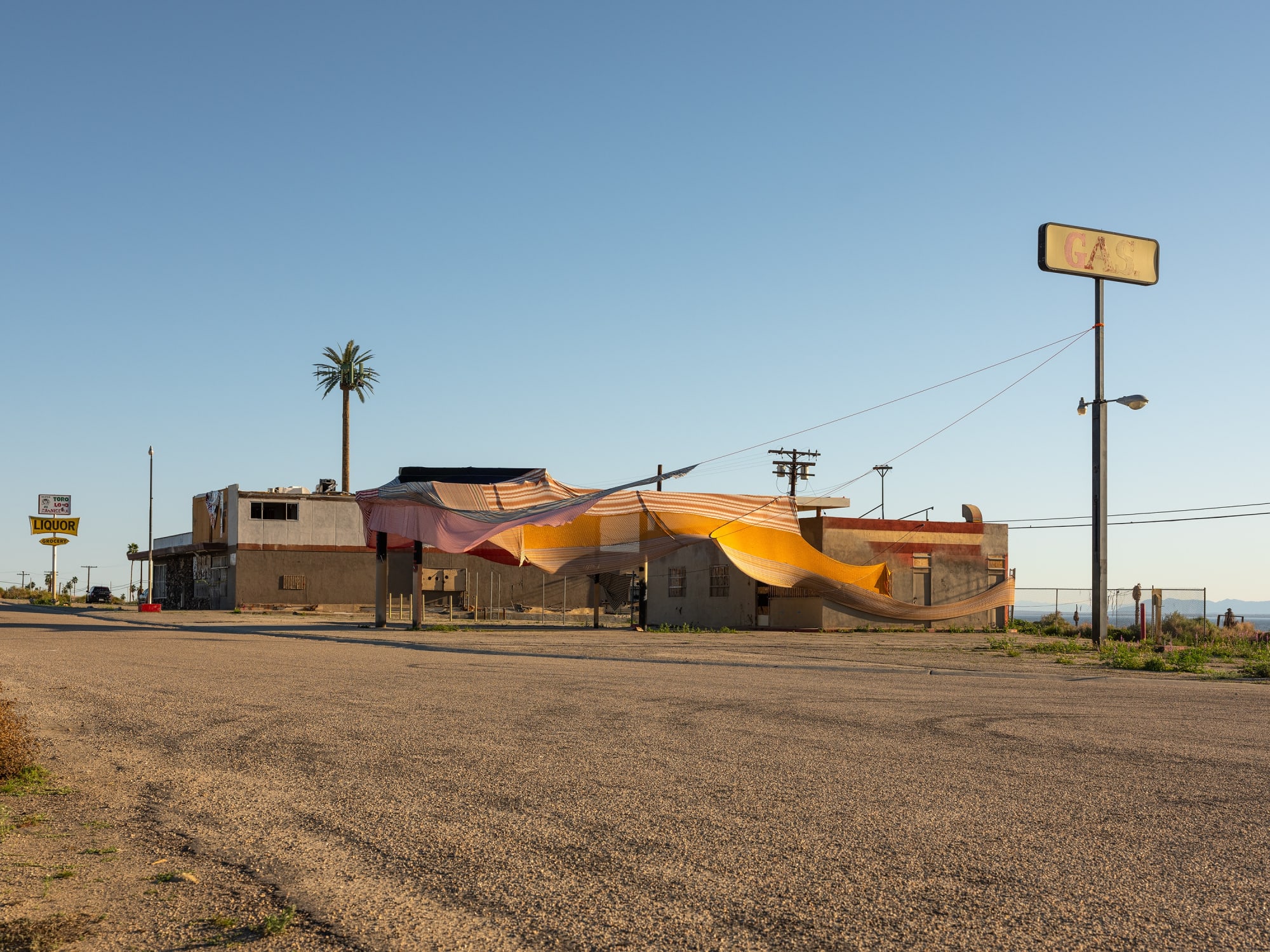 Simon Lee, Halter,  Desert X  Coachella Vallery California, 2019