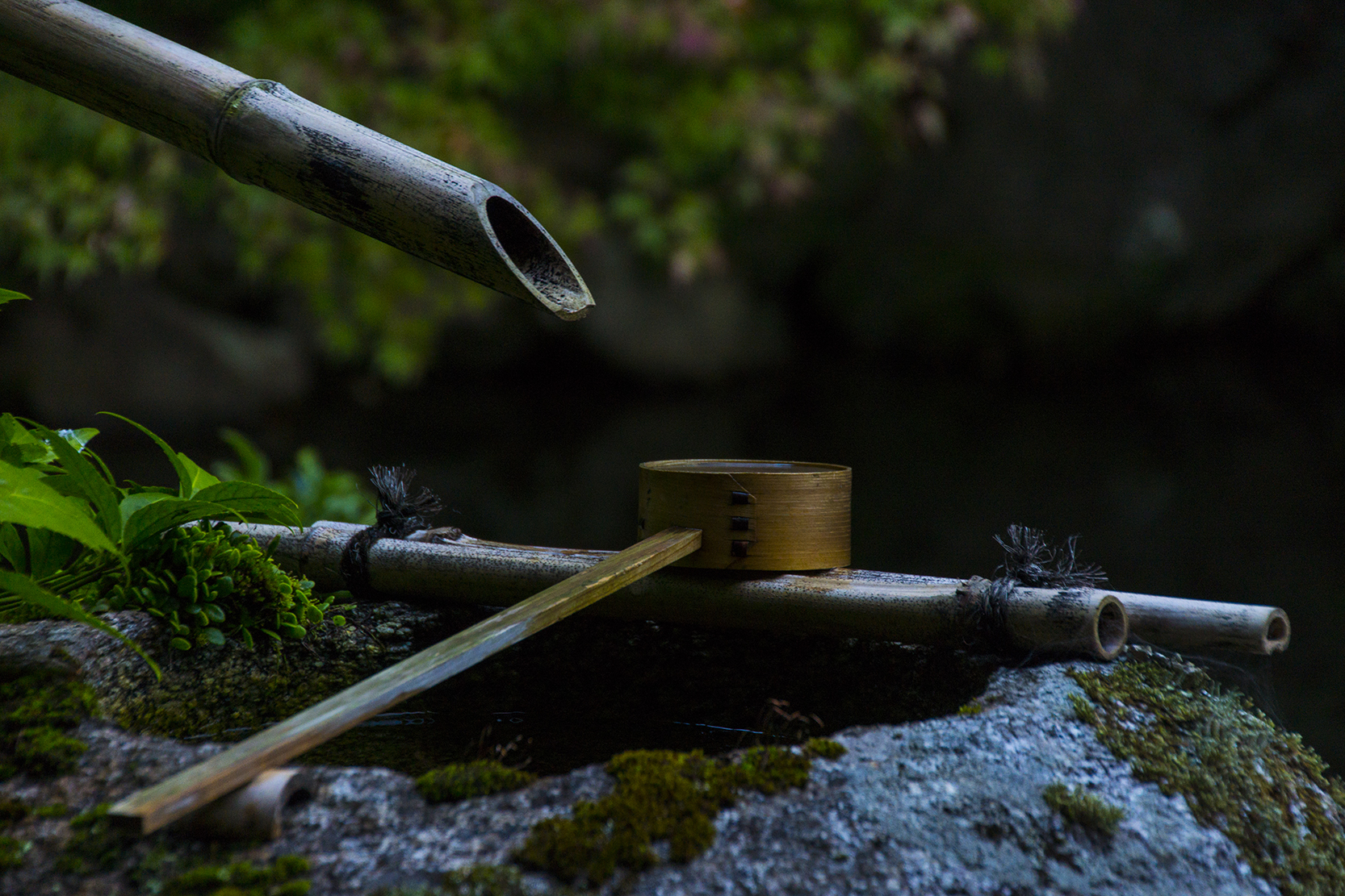 Zen