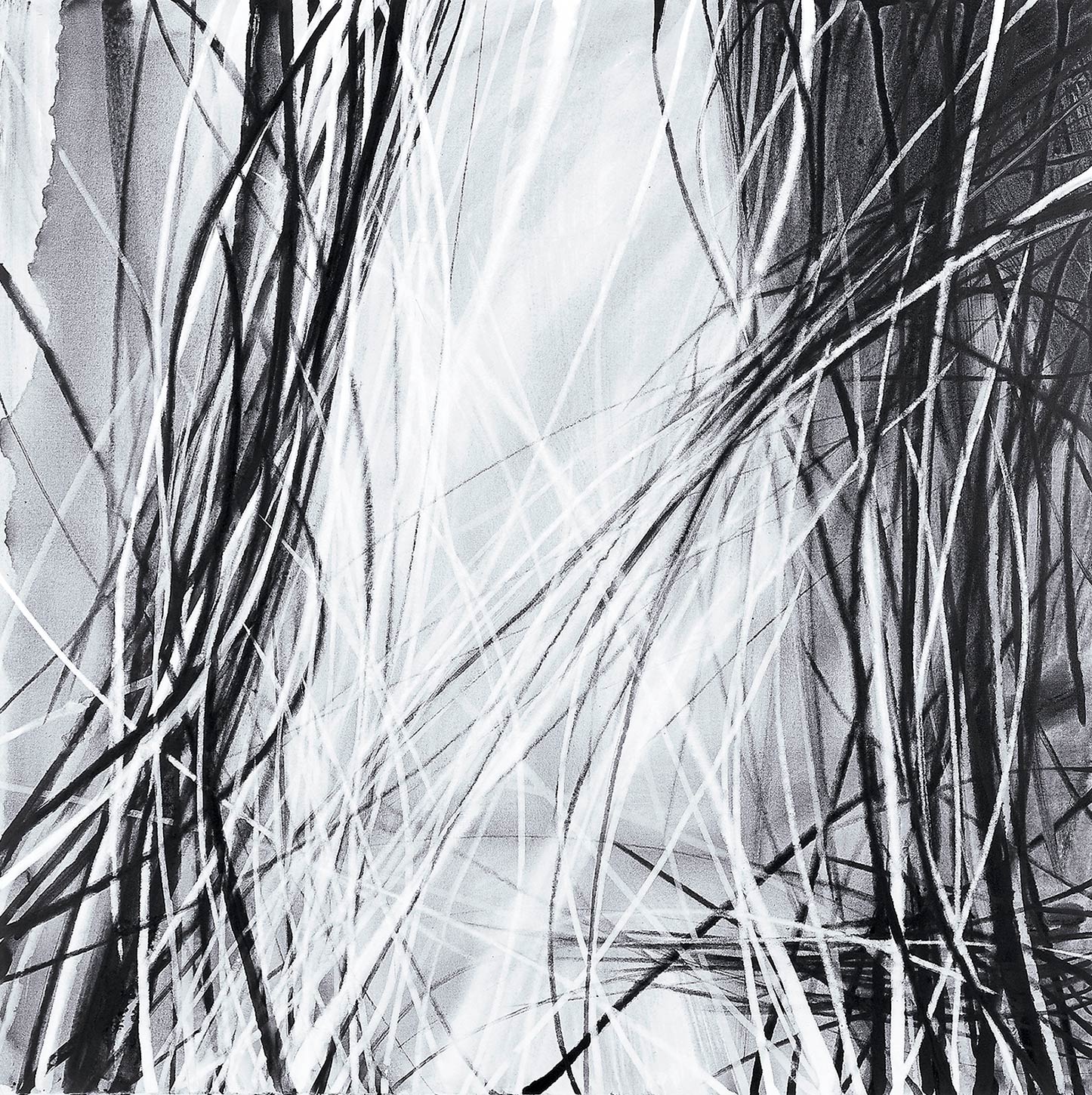 sem título ID298, 2000, acrílica e carvão s/tela, 120x120 cm