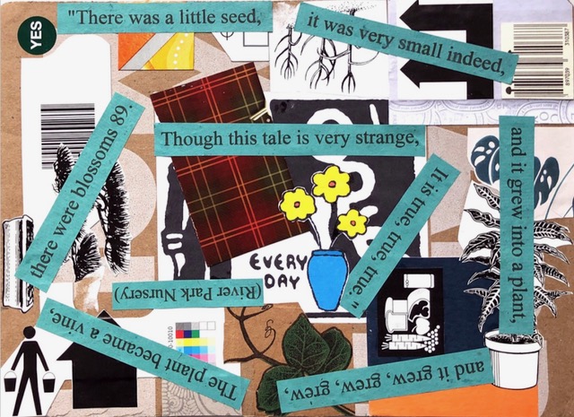 There was a little Seed