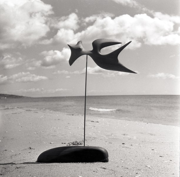 © Agnès VARDA courtesy Galerie Nathalie Obadia