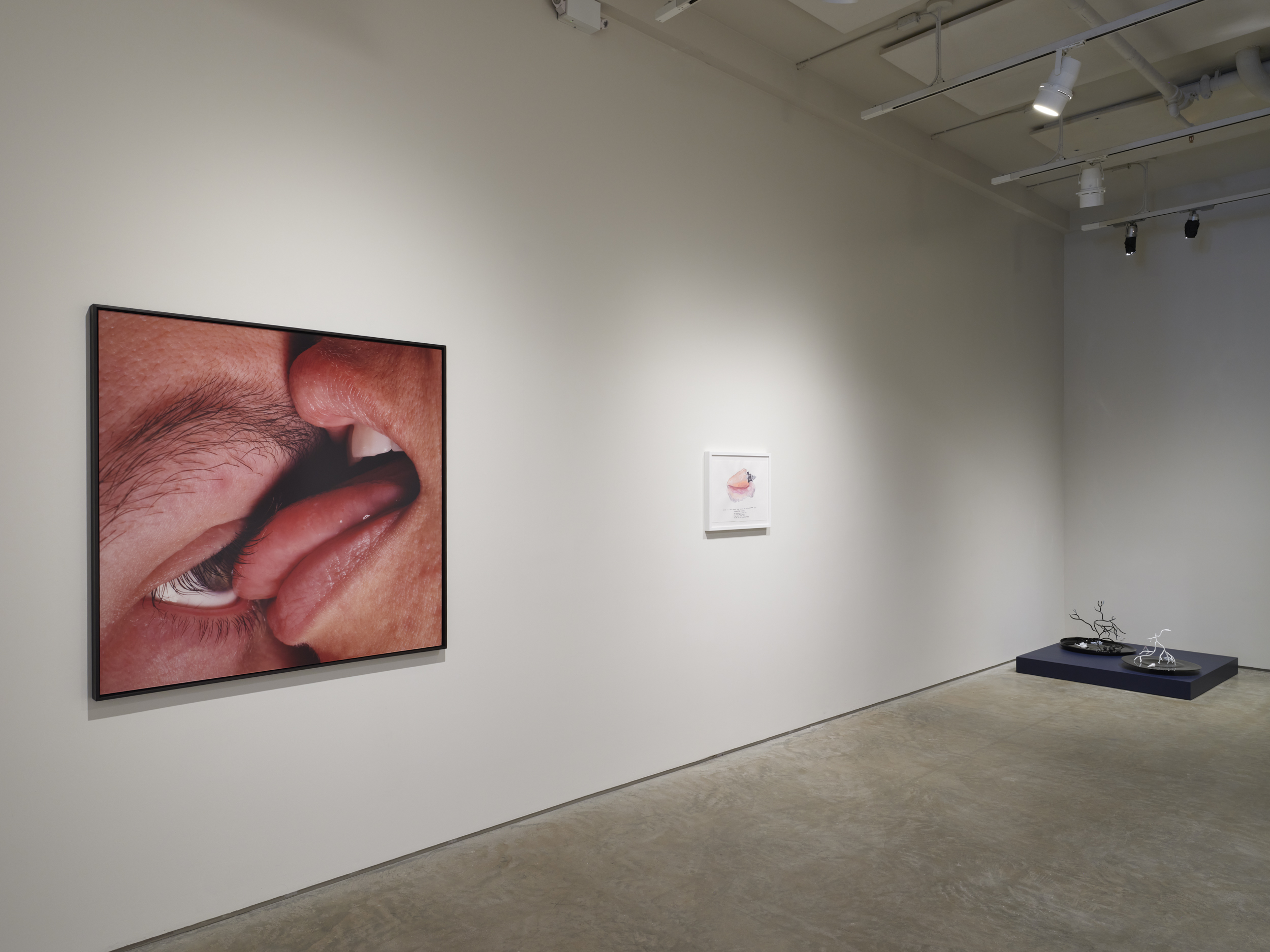 (From left to right) Janine Antoni, Mortar + Pestle, 1999. Chromogenic print, 48 x 48 inches.  Ana Prvački, Support Shell, 2021. Watercolor on paper, 14.9 x 18.9 inches.  Goldie Poblador, Porites Oil Slick Coral, 2025. Glass, scent. 20 x 20 x 17.5 inches; Porites Bleached Coral, 2025. Glass, scent	, 17 x 20 x 19.5 inches. Scent by M Dougherty.  Photo by Flaneurshan.studio