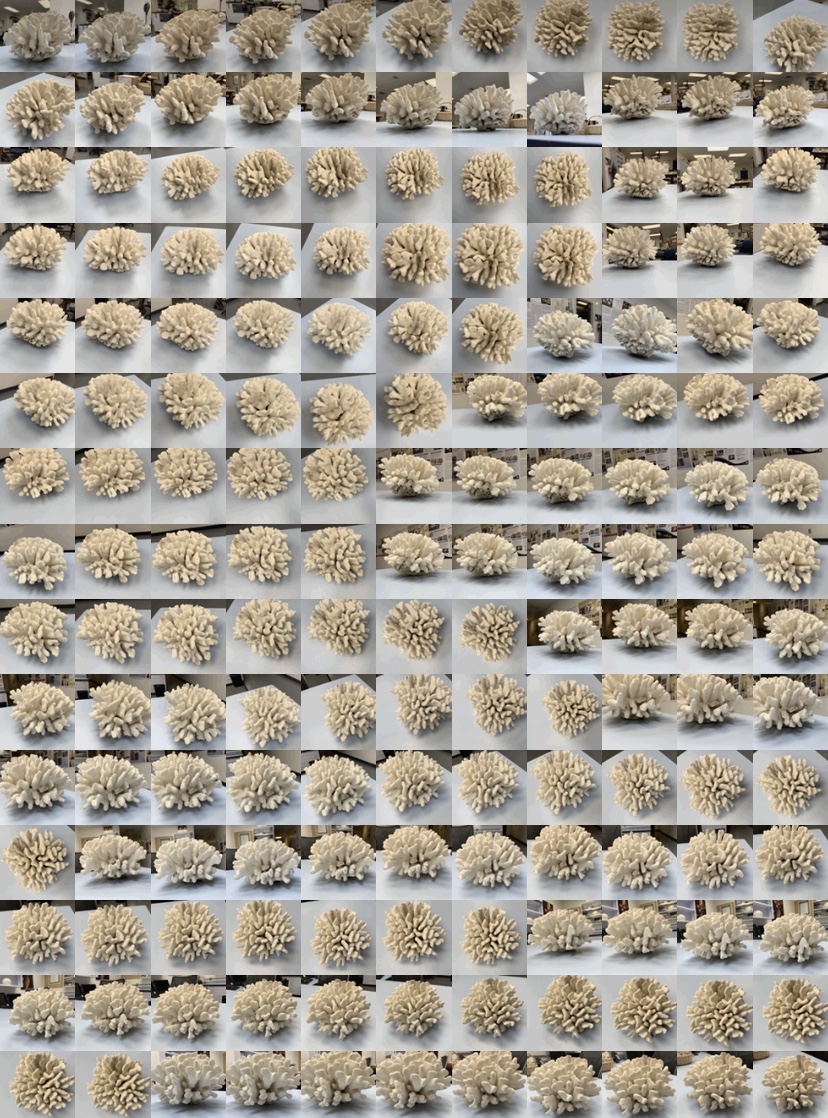 Take photos from every angle