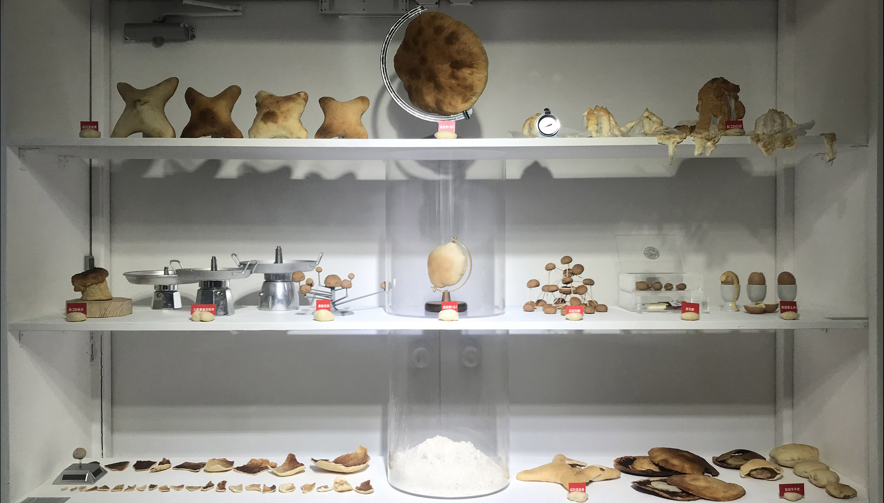  ⓒ normal studio 평범한스튜디오