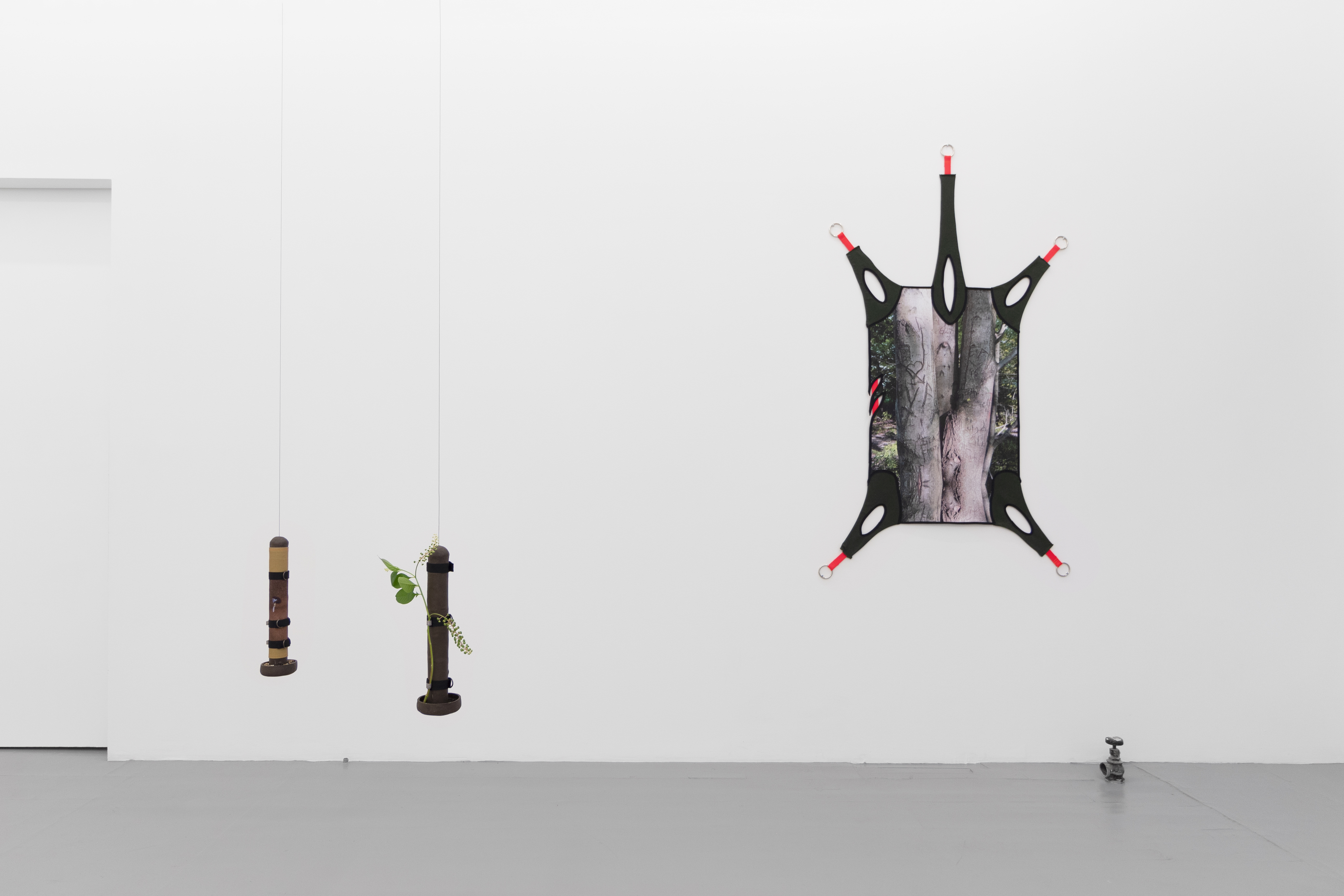 Teaching a perv how to eat honeysuckle, exhibition views. Photography: Prairie