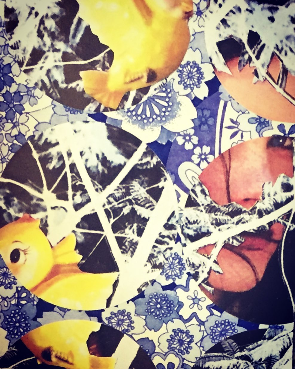 Racheal Baccus Jones