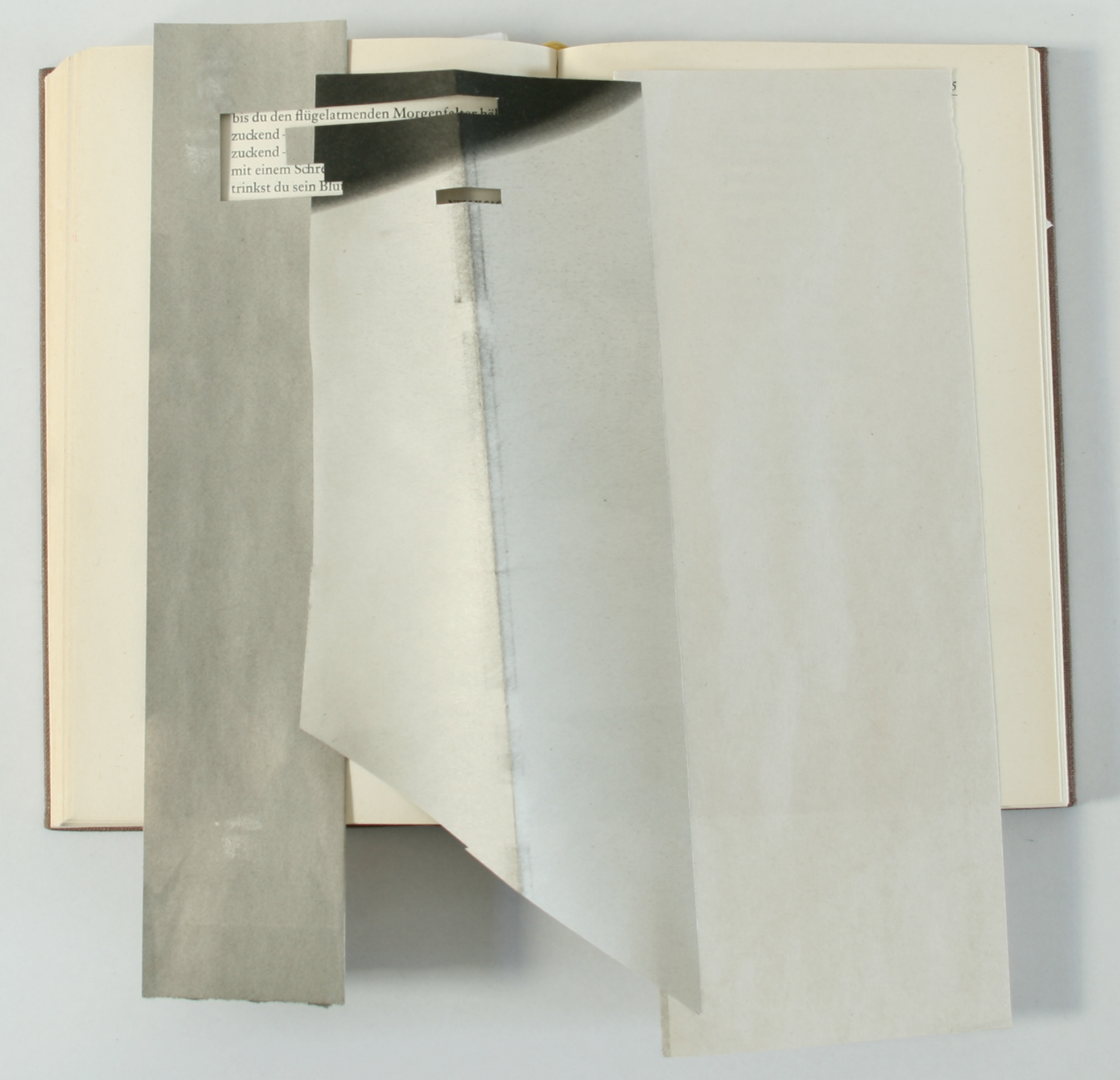 meine liebsten Gedichte, 2010, Fotoprint, 28,8  x 30 cm