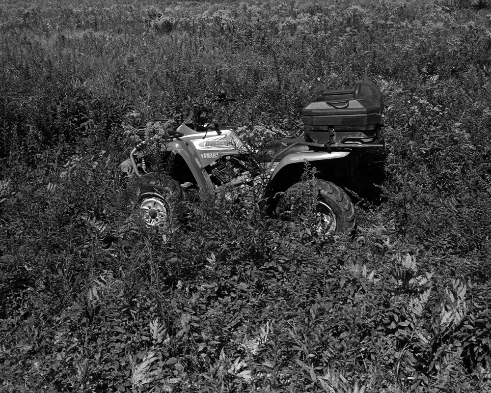 Across The Brook, 2021. Archival Inkjet Print, walnut frame. 16x20&rdquo;