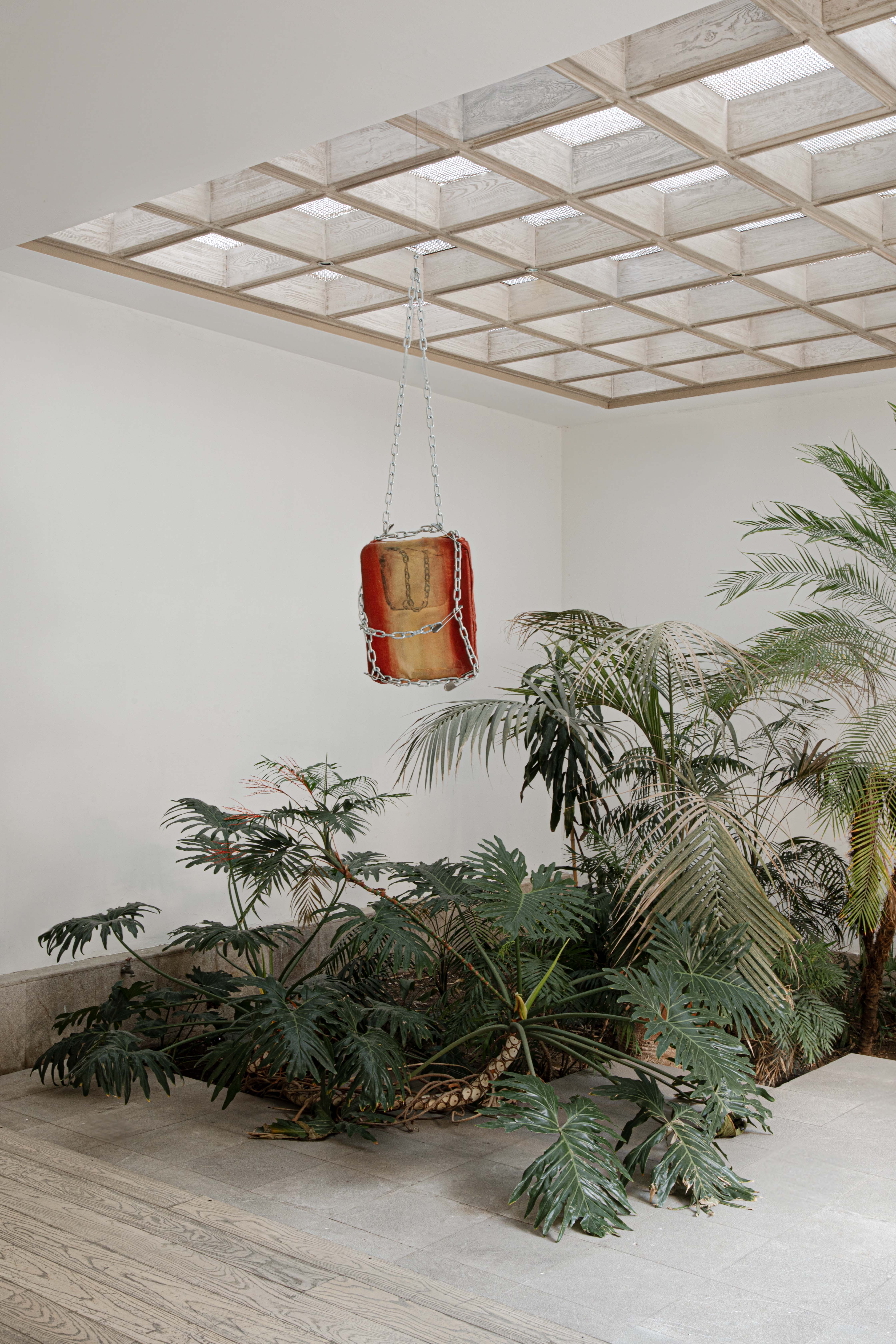 Installation view, Sensaciones, November 2023, JO-HS Mexico City. Photos: Alejandro Ramírez Orozco.