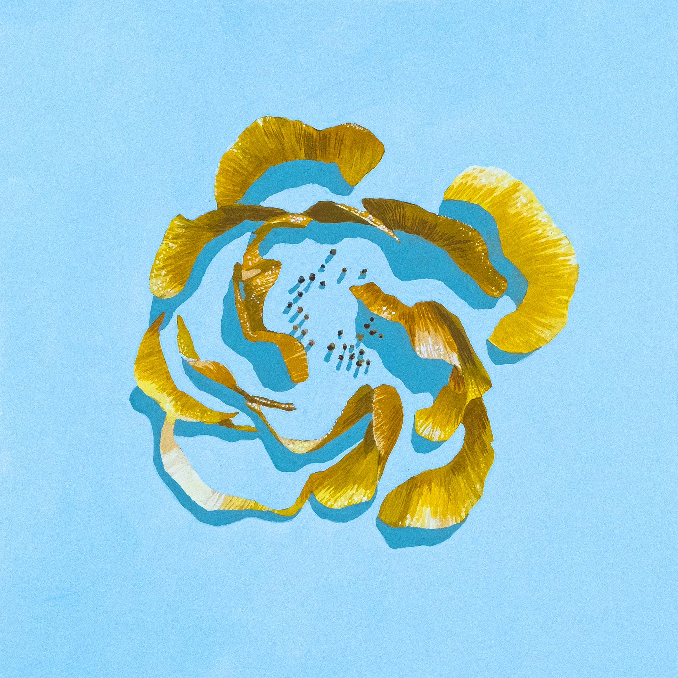 Ghost Flowers vii, 2021. Gouache on watercolor paper — 8 x 8 in.