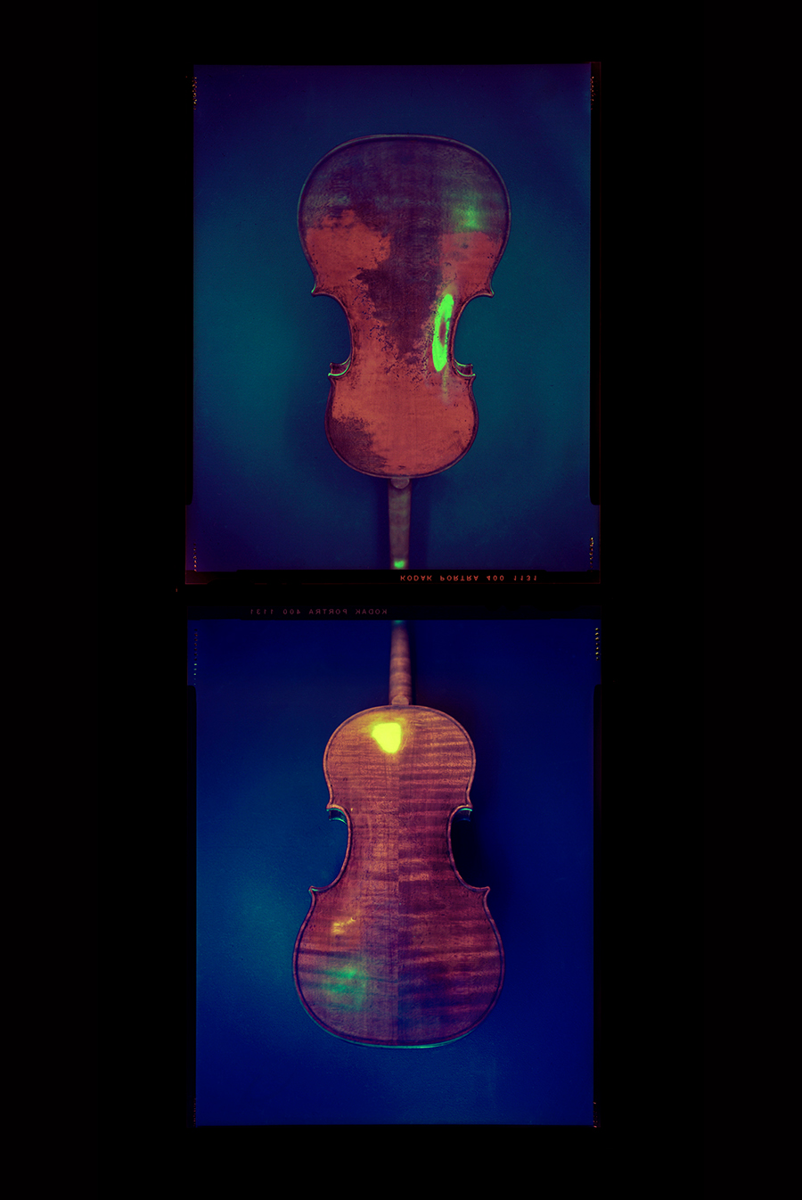 VIOLINMAKING, Dominik Wlk