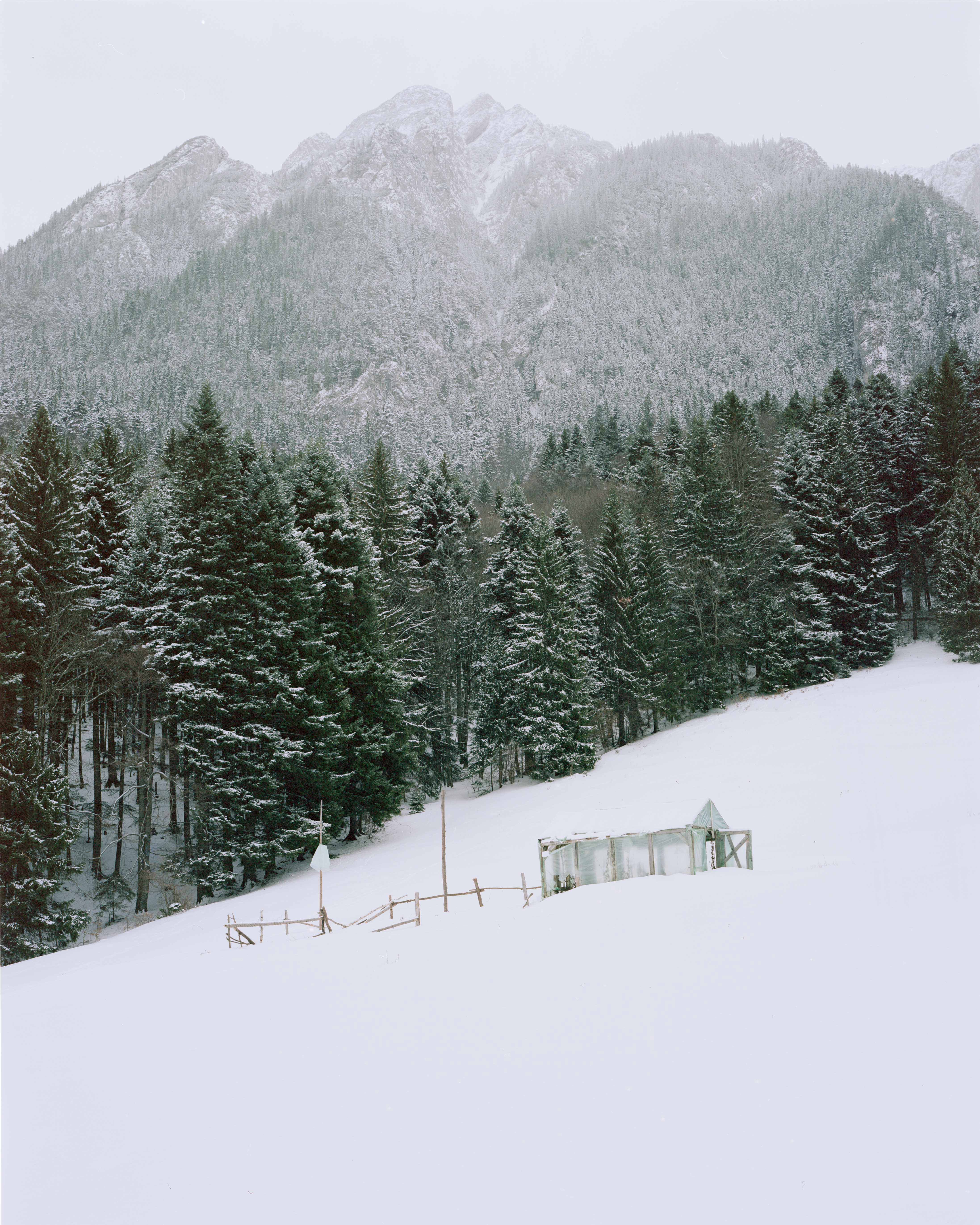 Art for Gaza 19 - Om in rai biserica