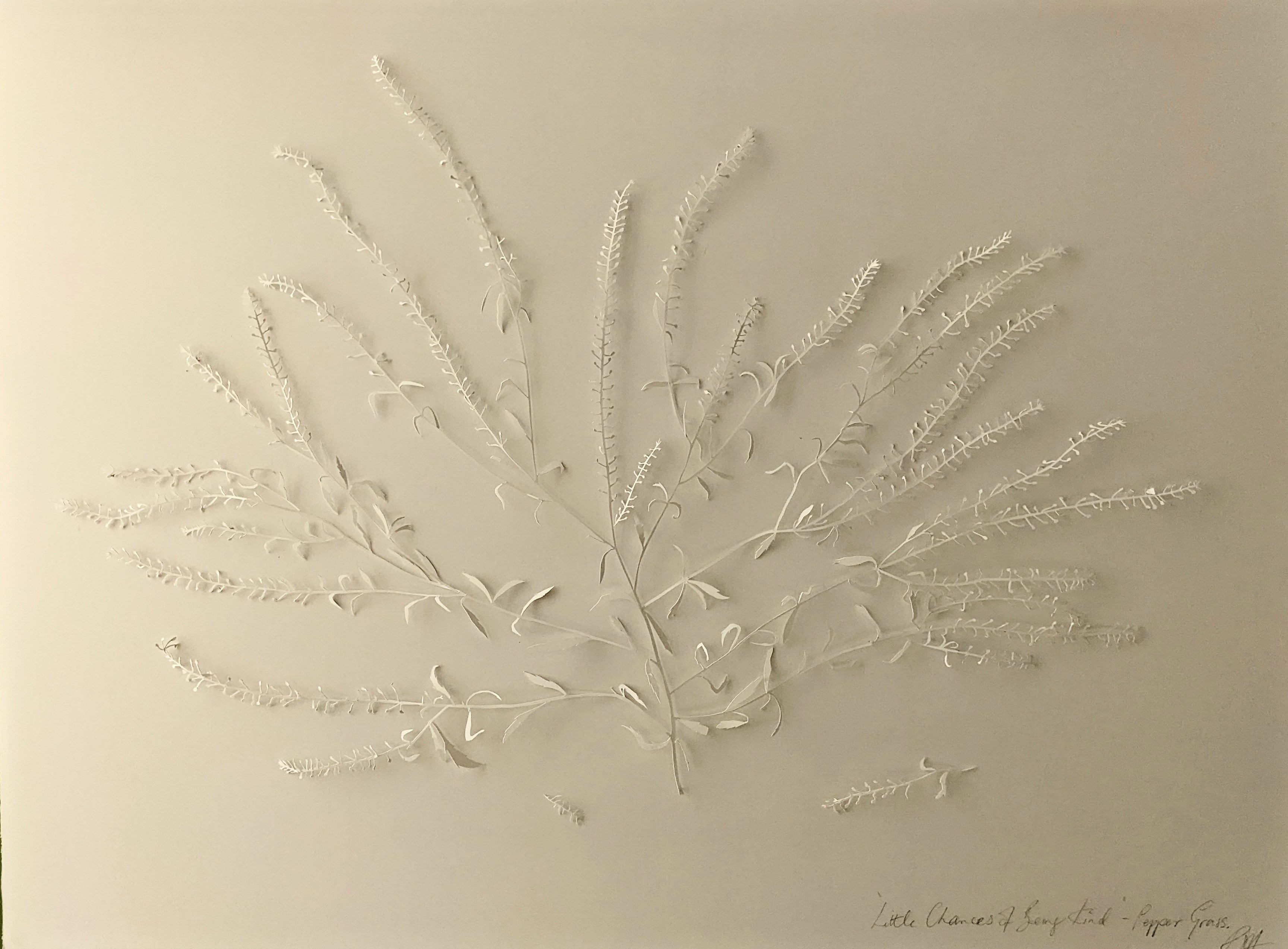 Little Chances of Being Kind