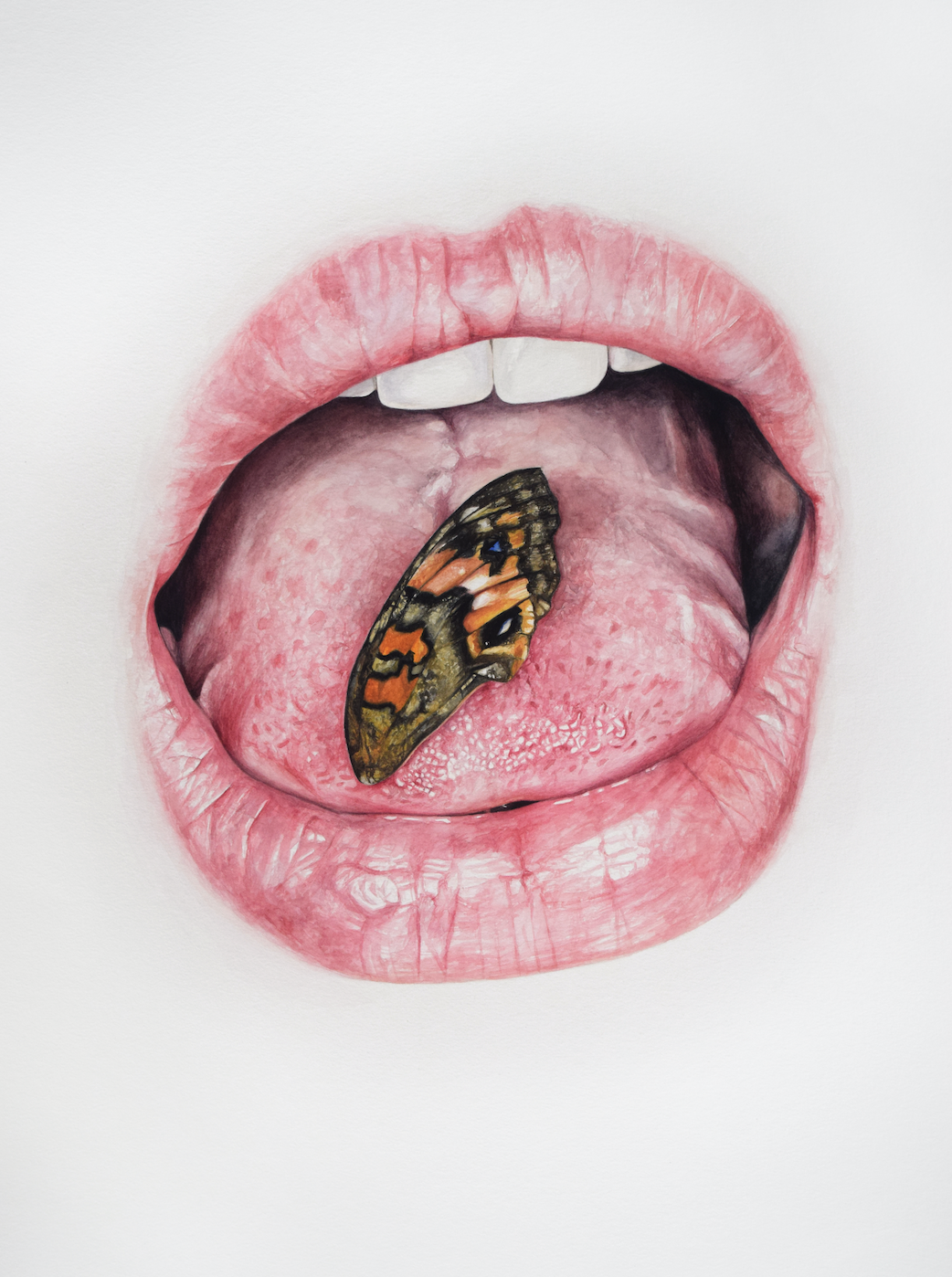 Butterfly Tongue 2018 Watercolour 25"x19"