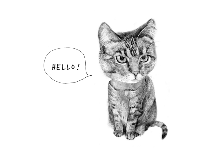 Hello! - Personal Work