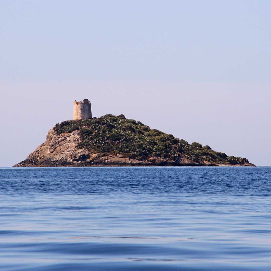 VII. Montecristo Project