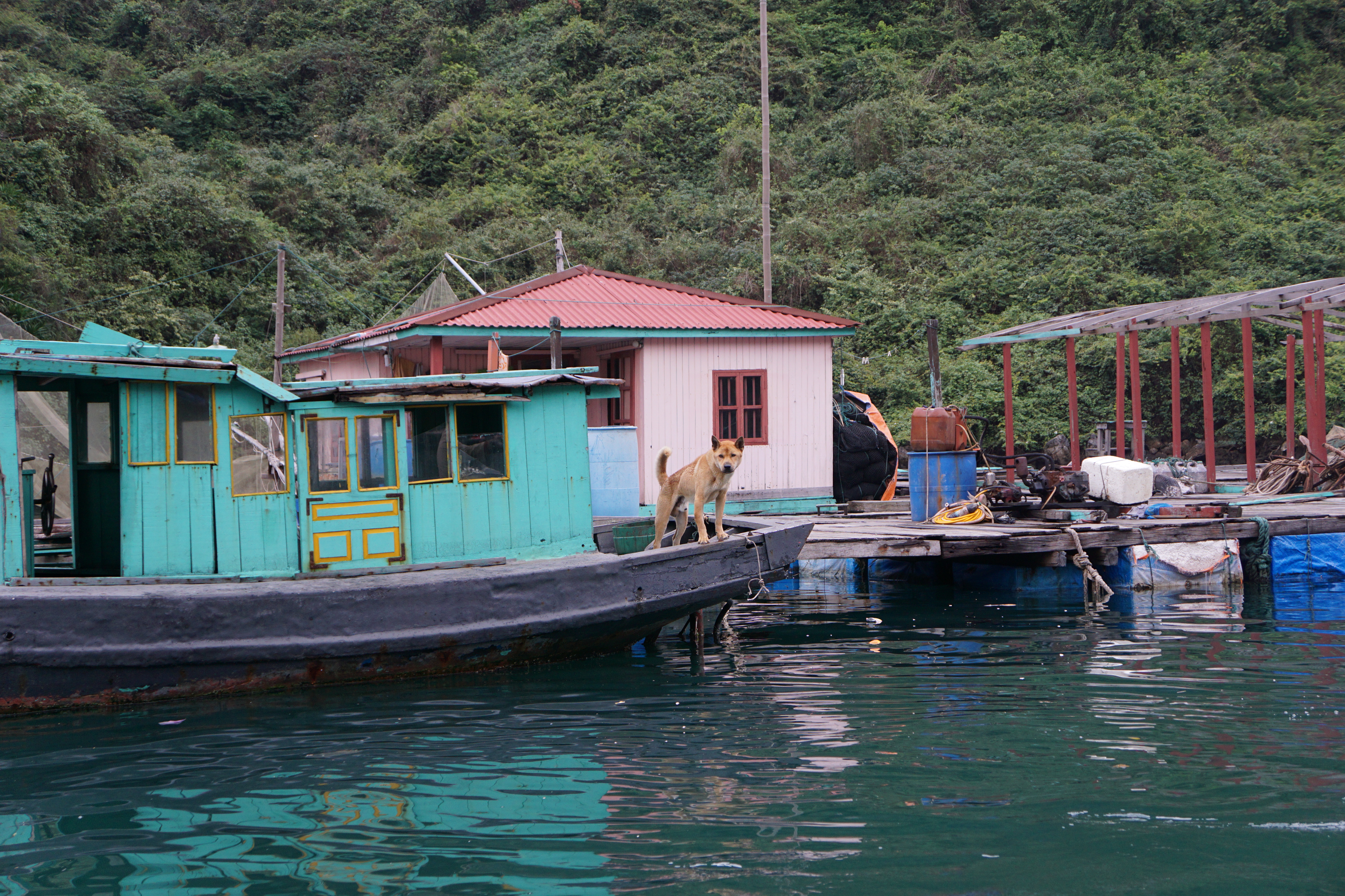 Ha Long Bay, Vietnam 2017