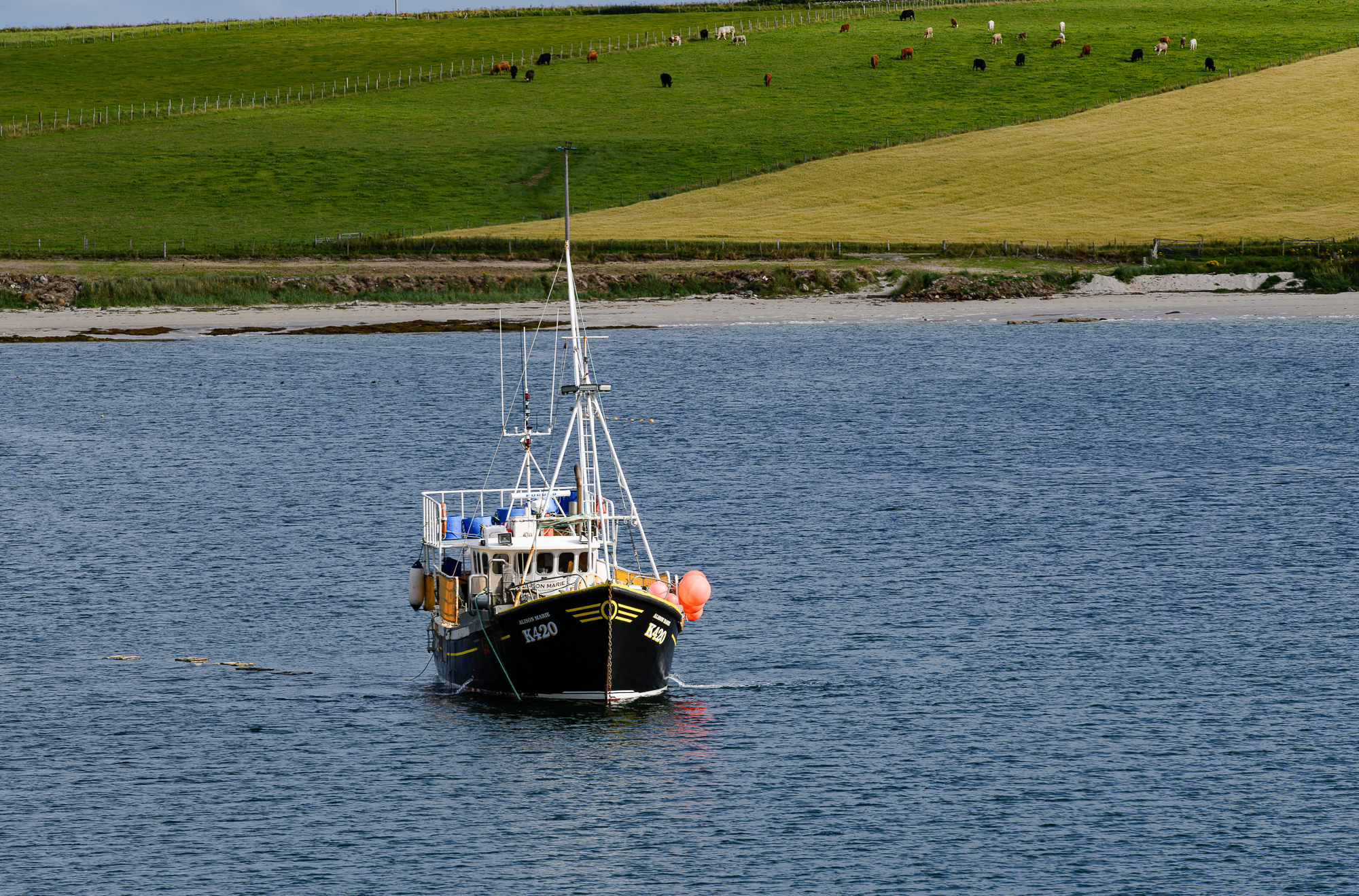 Baie de Scapa Flow. Iles Orcades (Orkney).