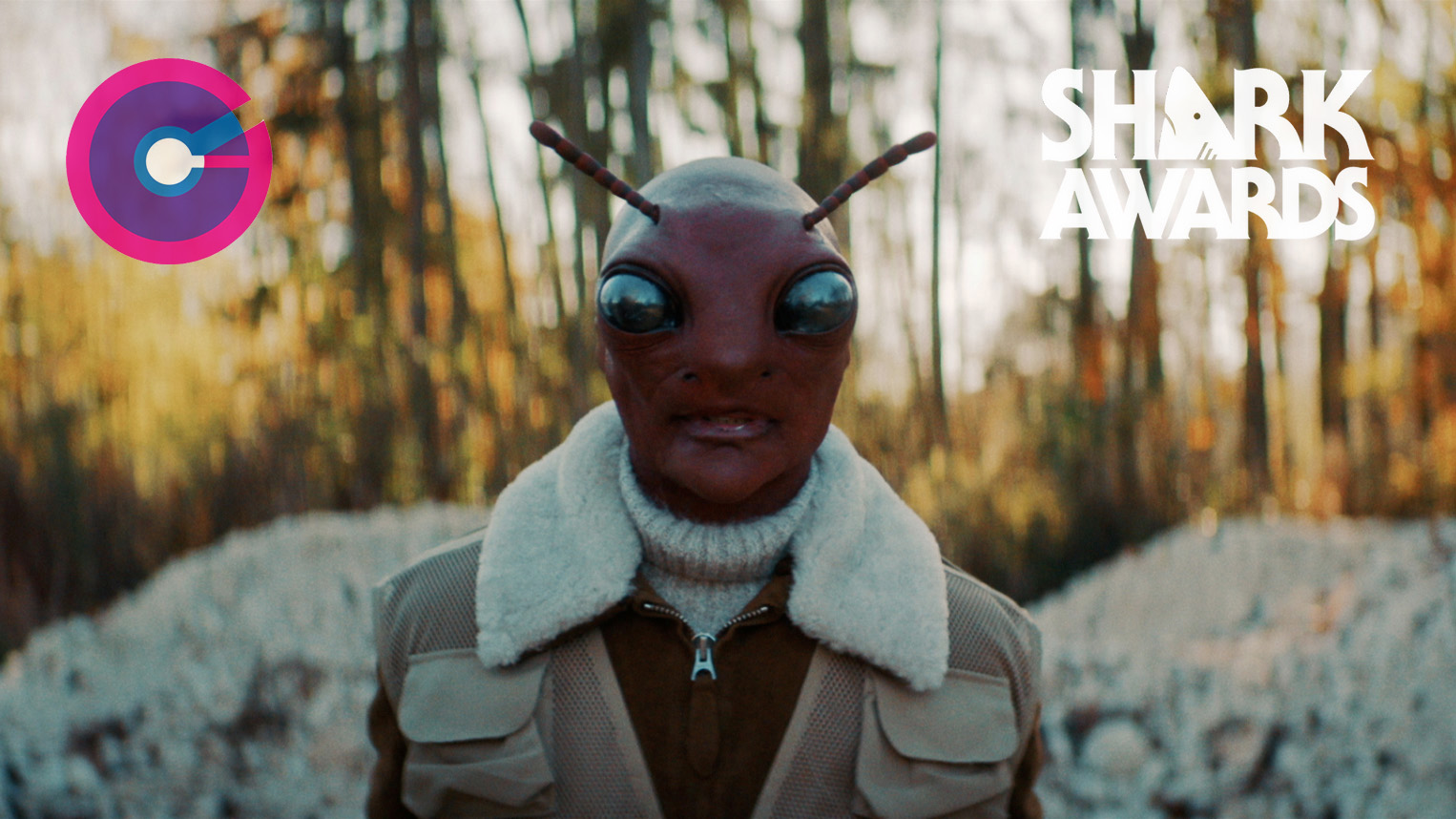 CONCORDE | BLACK COUNTRY, NEW ROAD