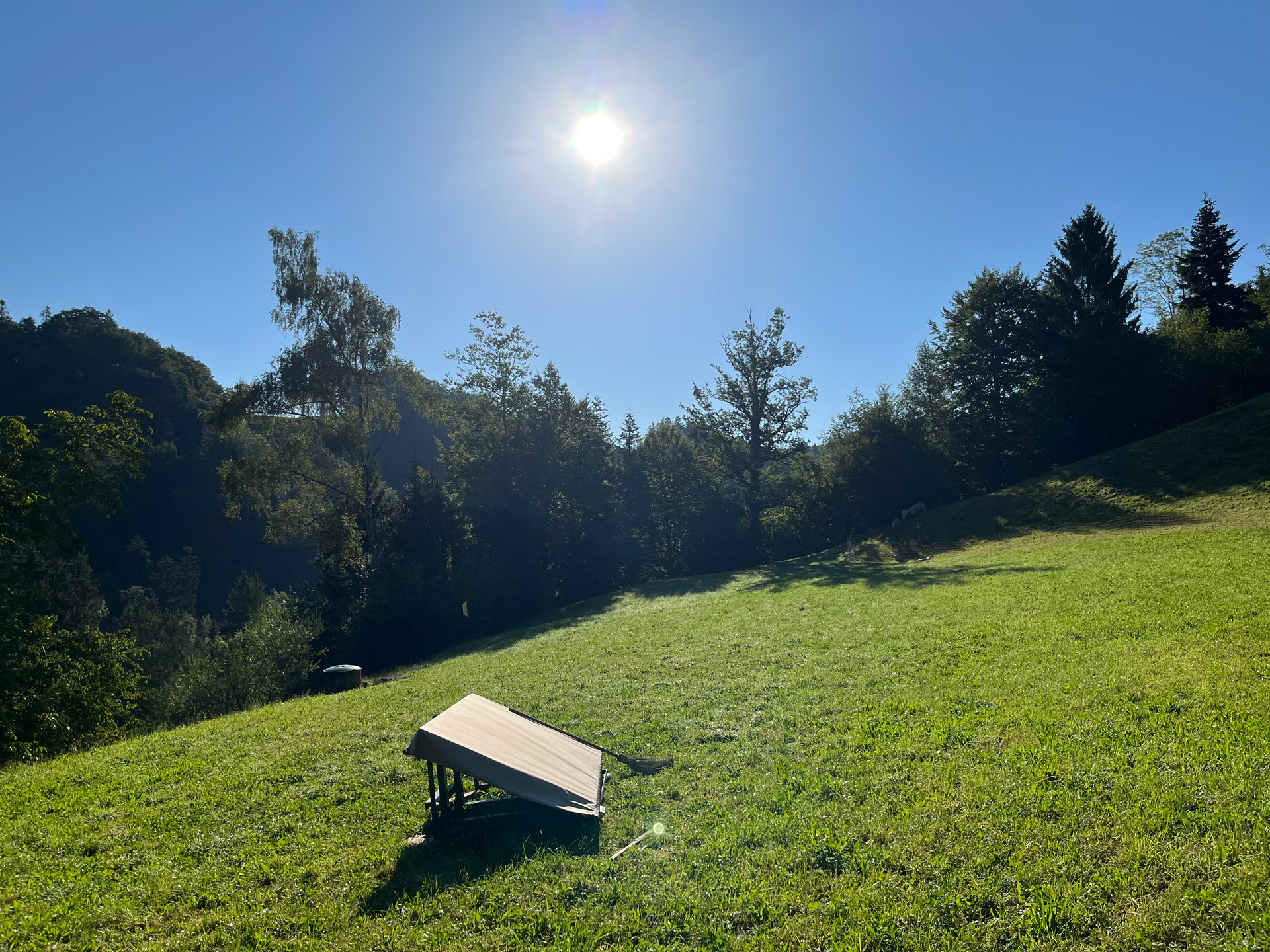 Sonnenkollektor// Sun Collector