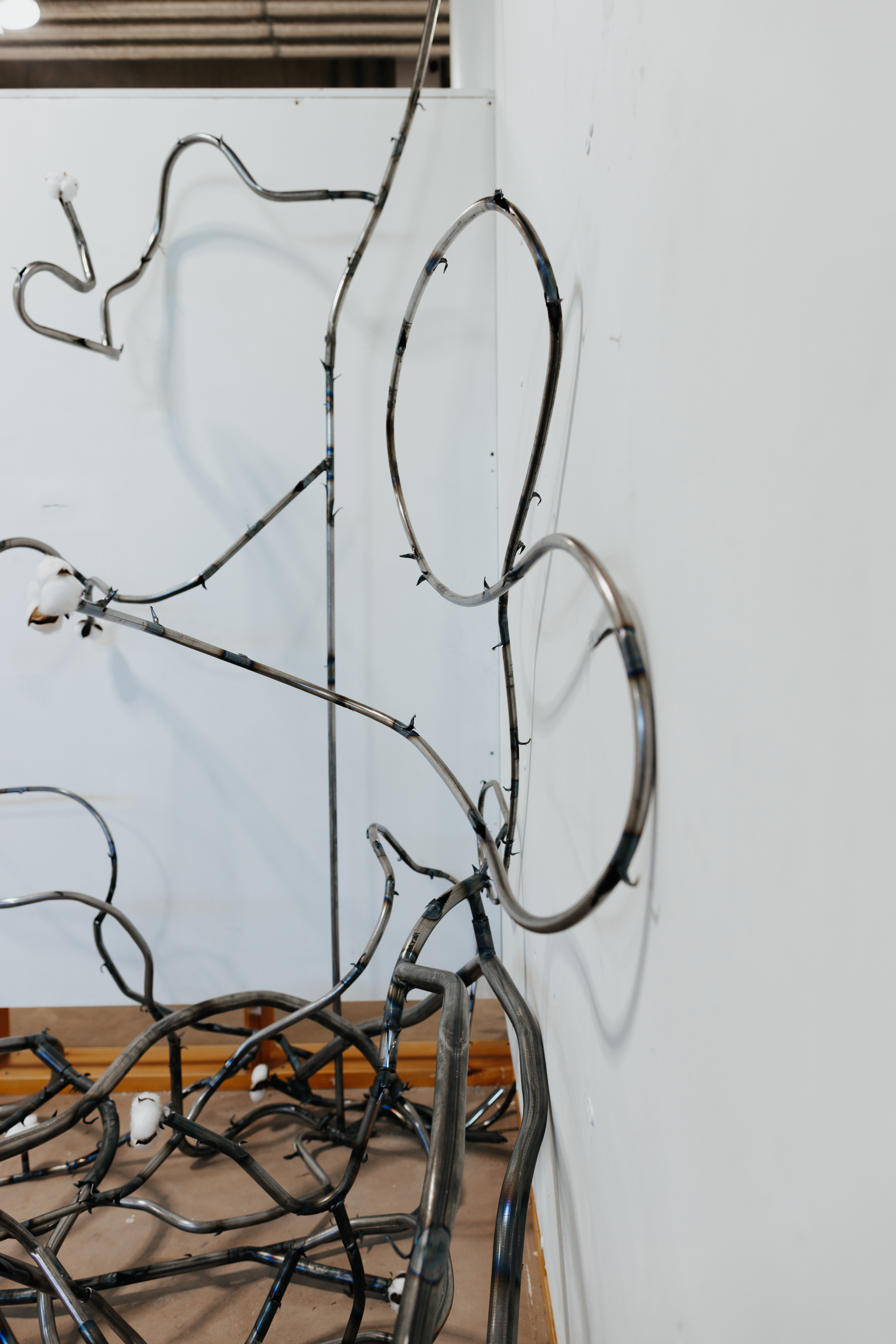 Roots, 2025 Image courtesy of Jovan Lee