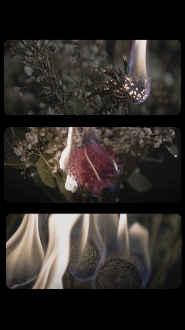 dimoni - mesalles (graphics)