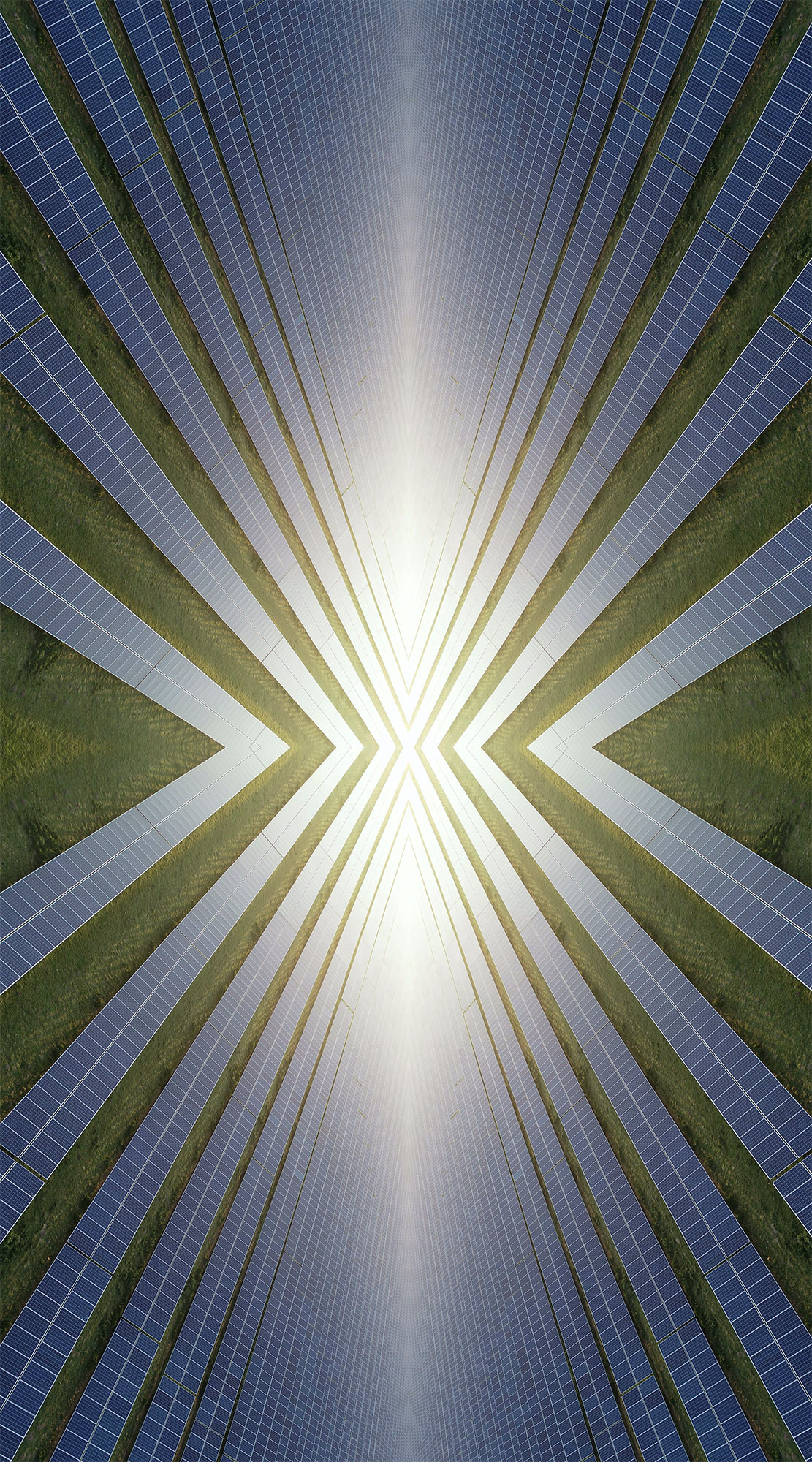 Harvest, digital print on lightbox, 92 x 50 cm