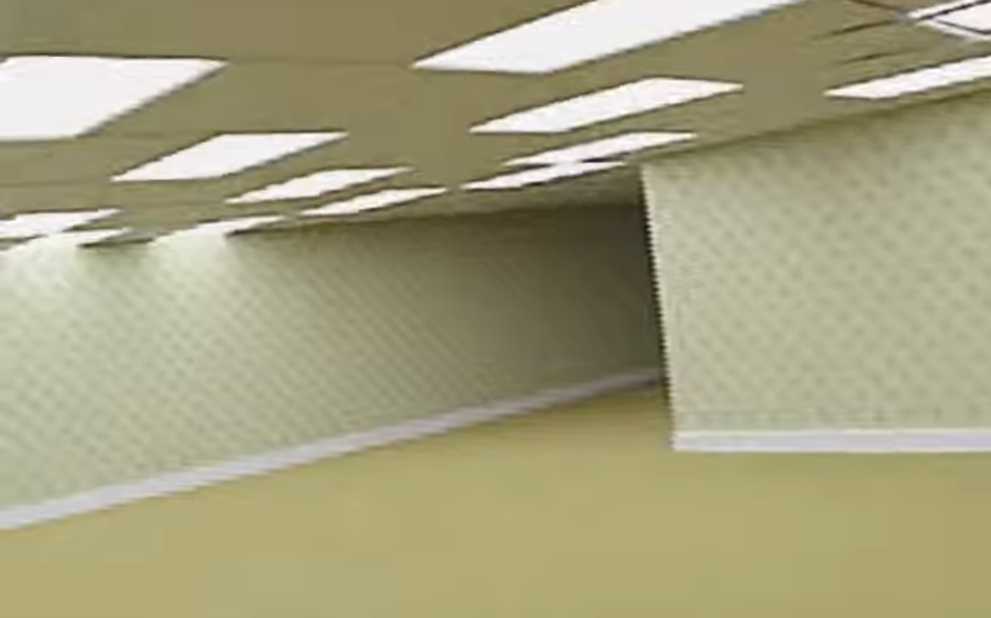 Silence, Grapevine, 2021