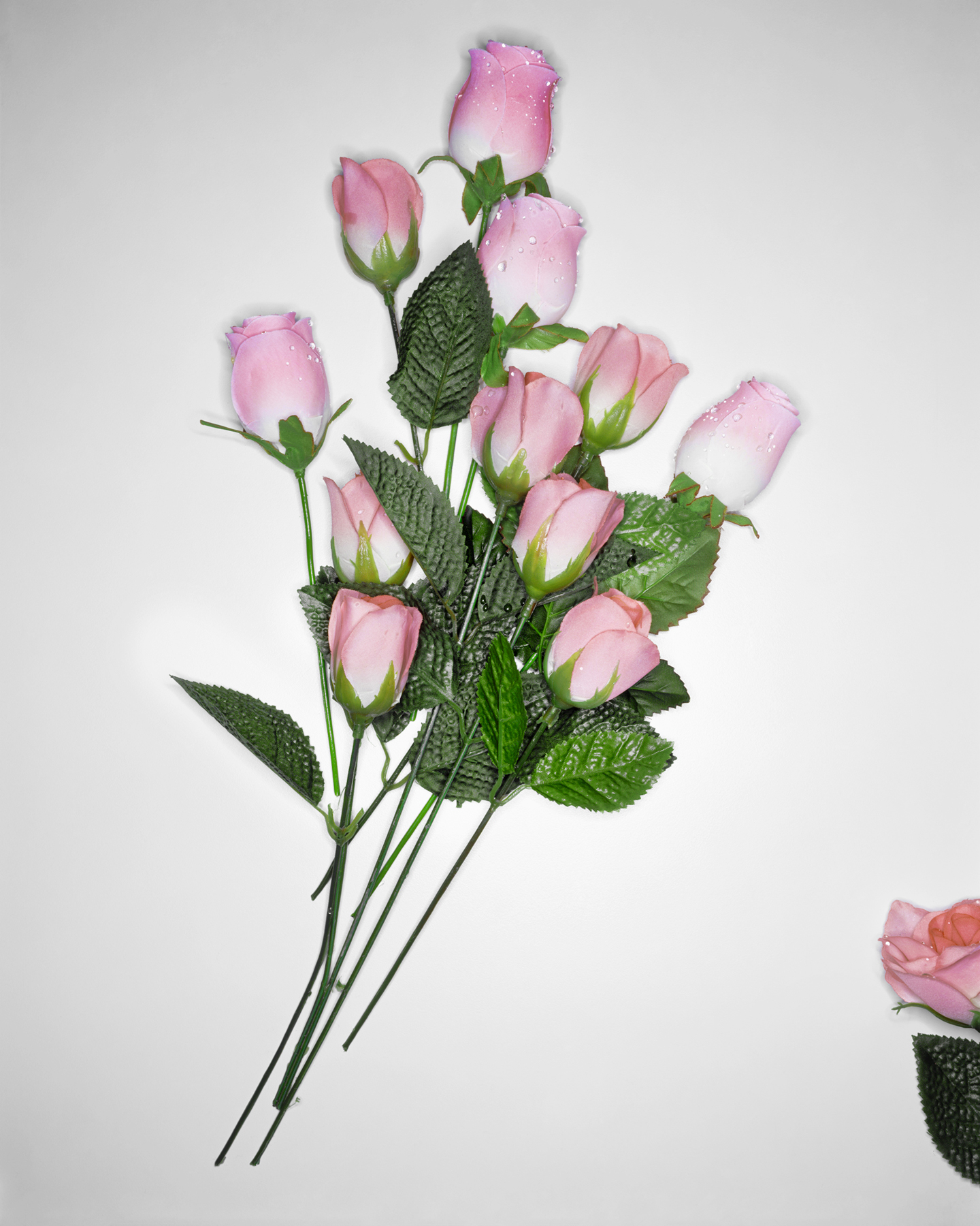 Plastic Rose, 19994/4