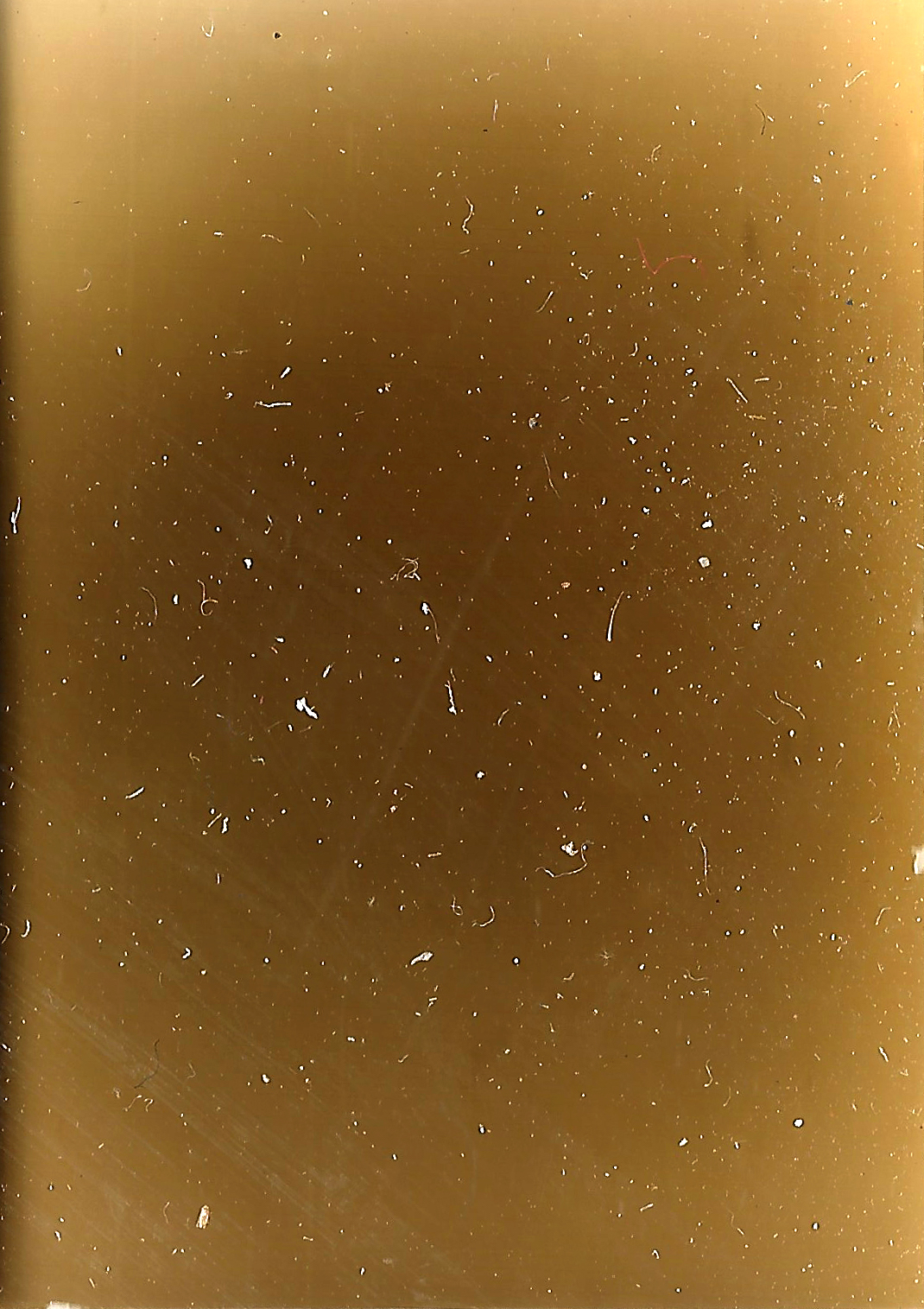 17, St Clement of Ohrid III, 2020