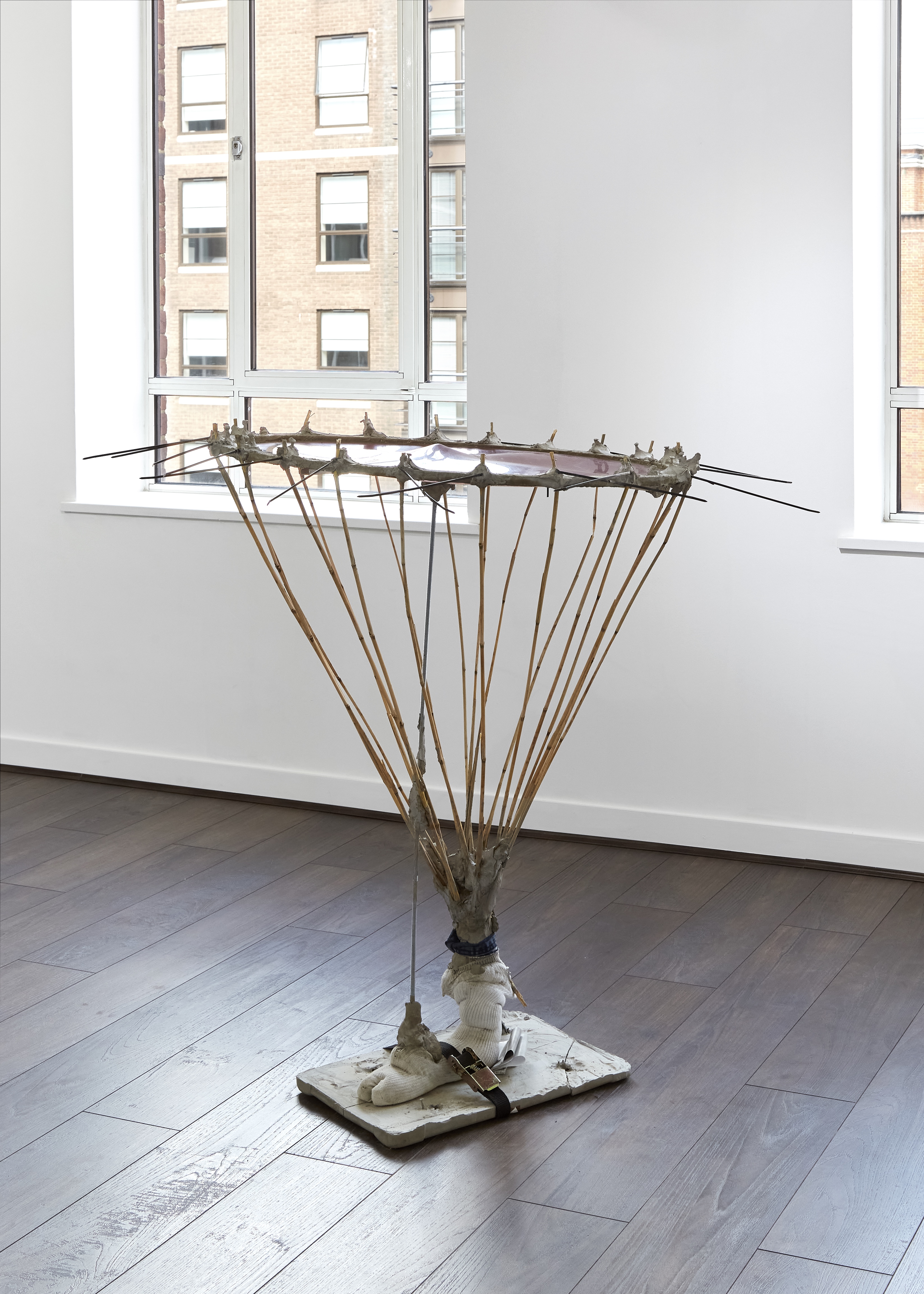 A Correspondence with Pestilence 2020 (Water Reeds, Concrete, Sock, Strap, Silicone, Cable ties, Steel.)  dimensions variable