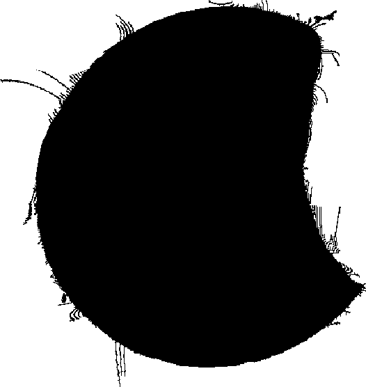 IM/POSSIBLE READERHIGH QUALITY(330MB)