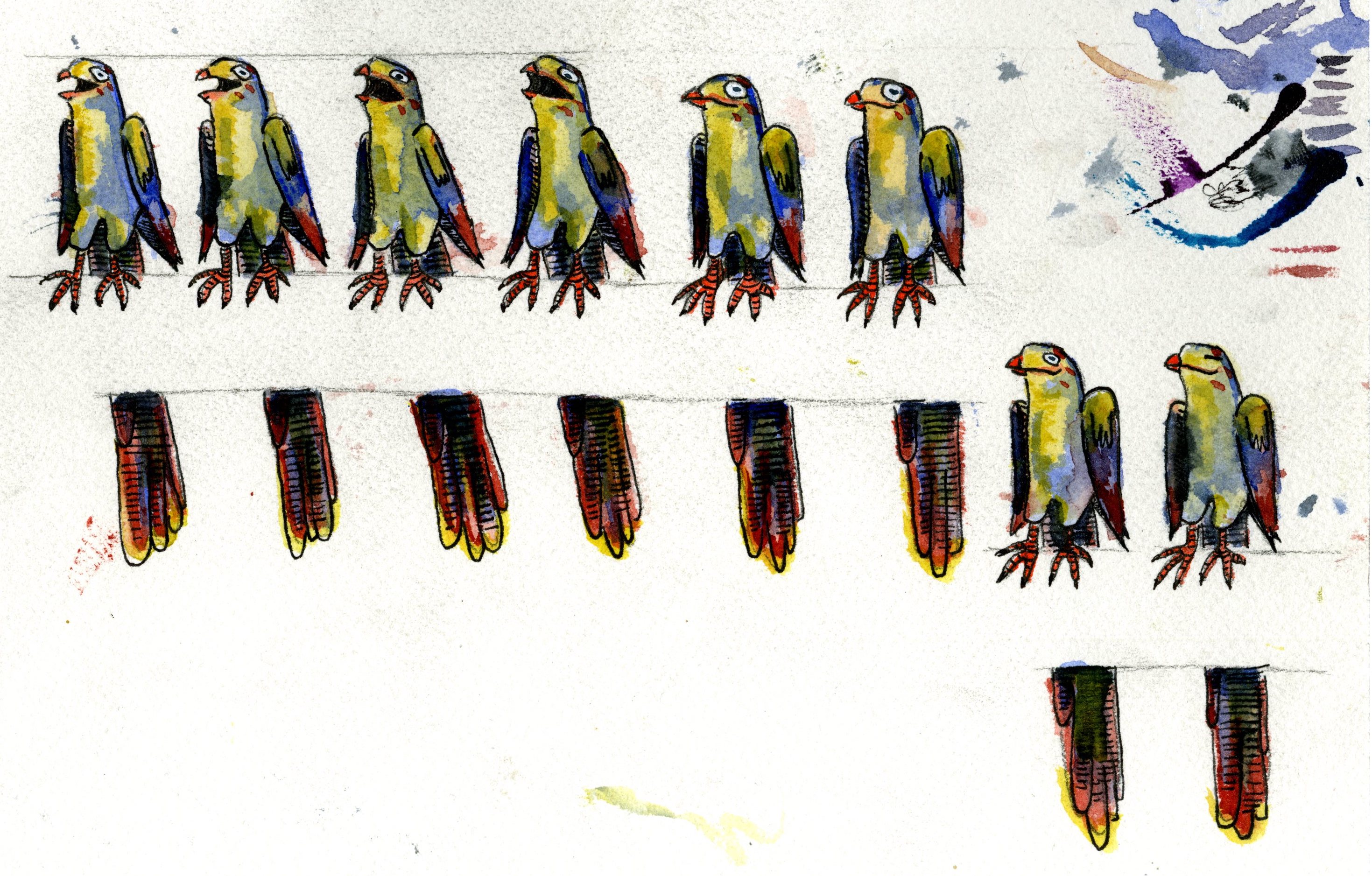 frames for bird animation 2017 watercolor