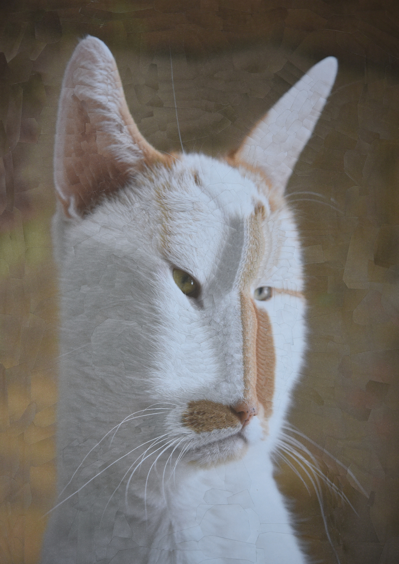 Charlie XXIV grumpy pants 2019, 8.2 x 11.6 inches