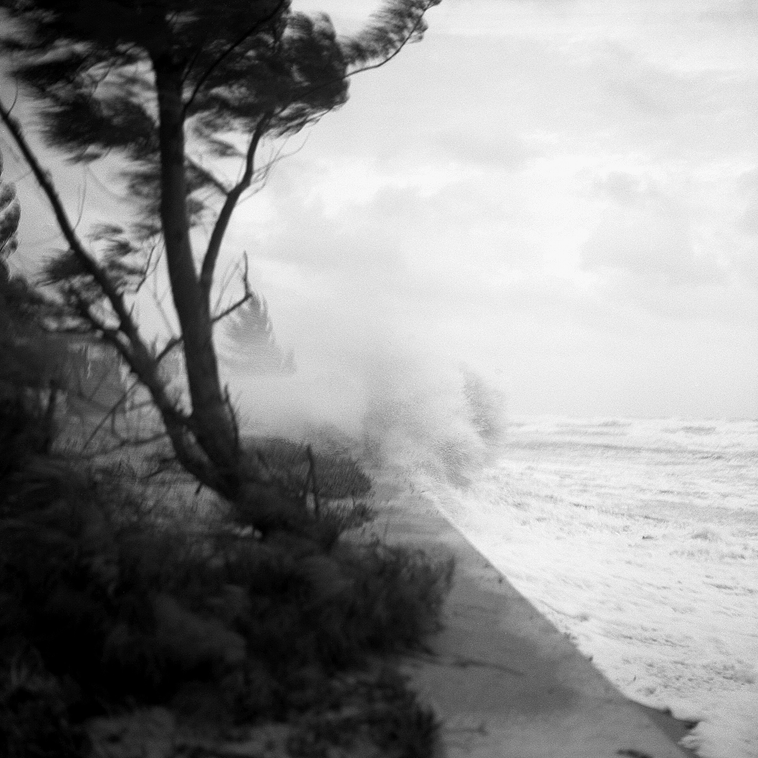STORM, Palm Beach Florida 1994