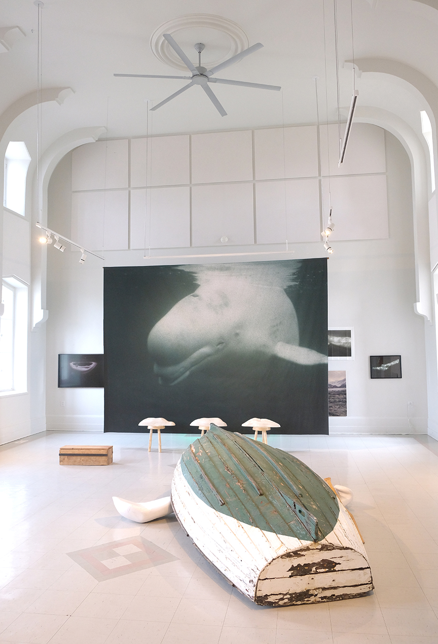 Dans l’œil du béluga, Centre d'art de Kamouraska, 2025