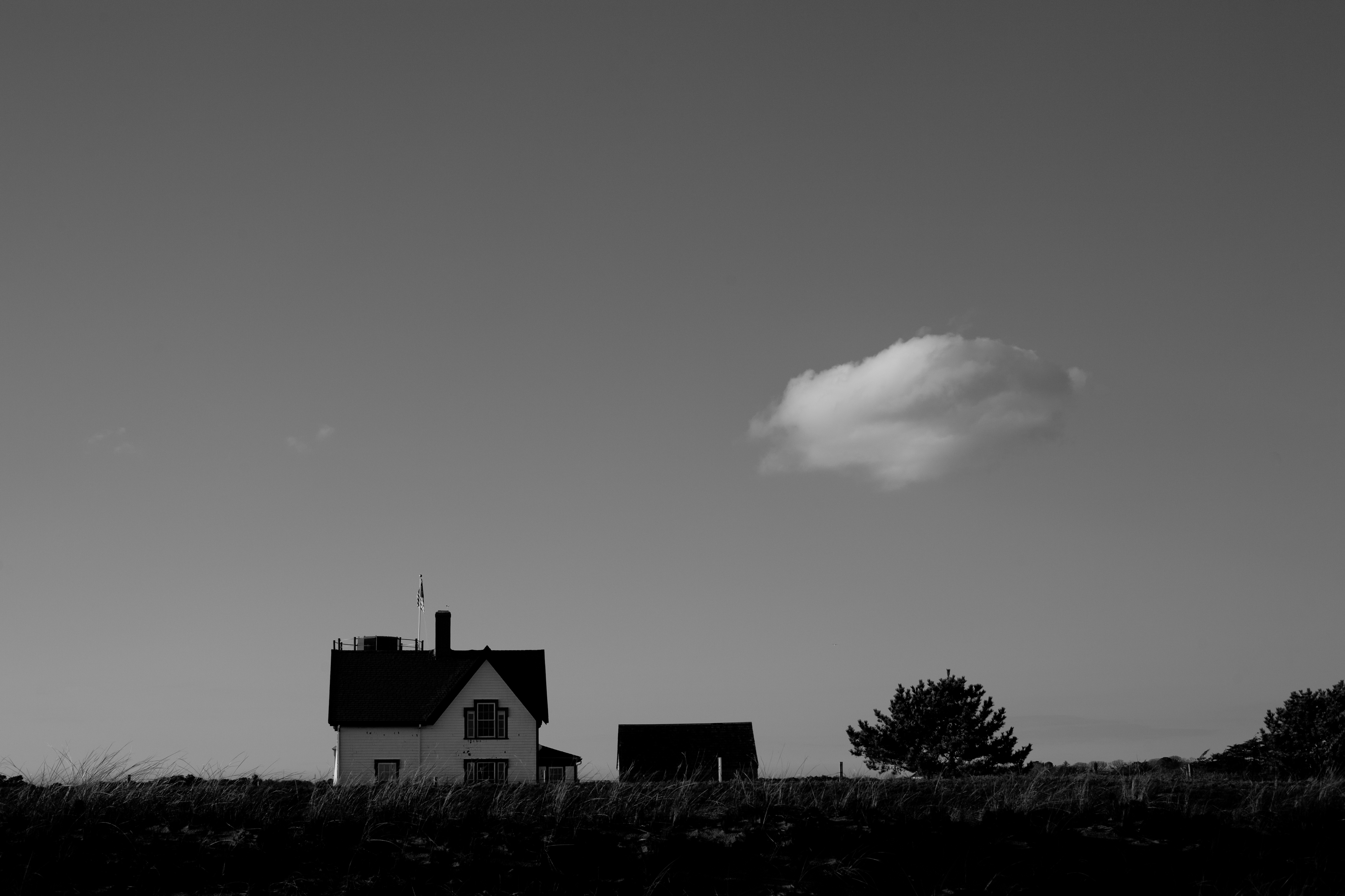 Winter. Chatham, Massachusetts 2022