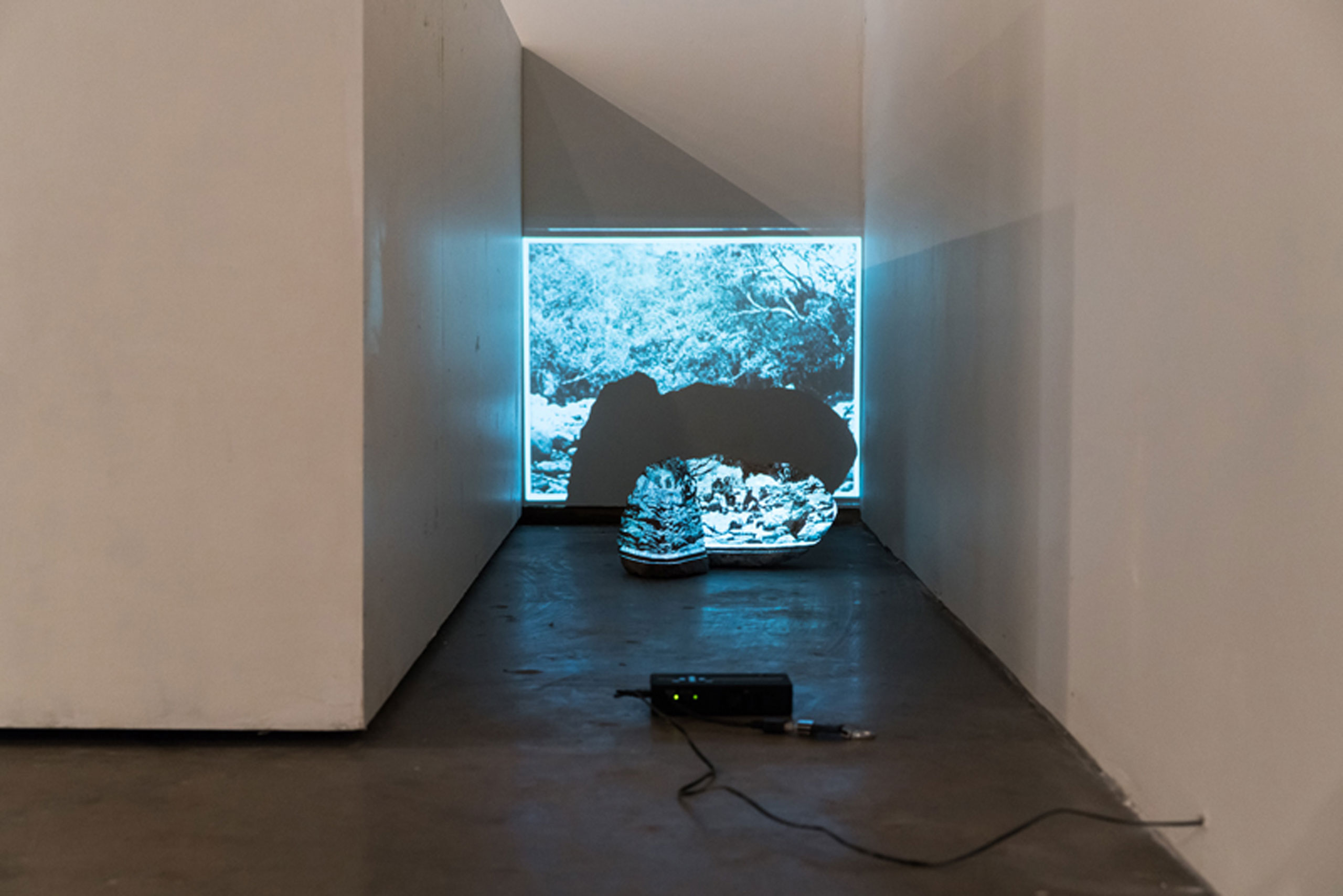 untitled (intervention), 2016, alternate view