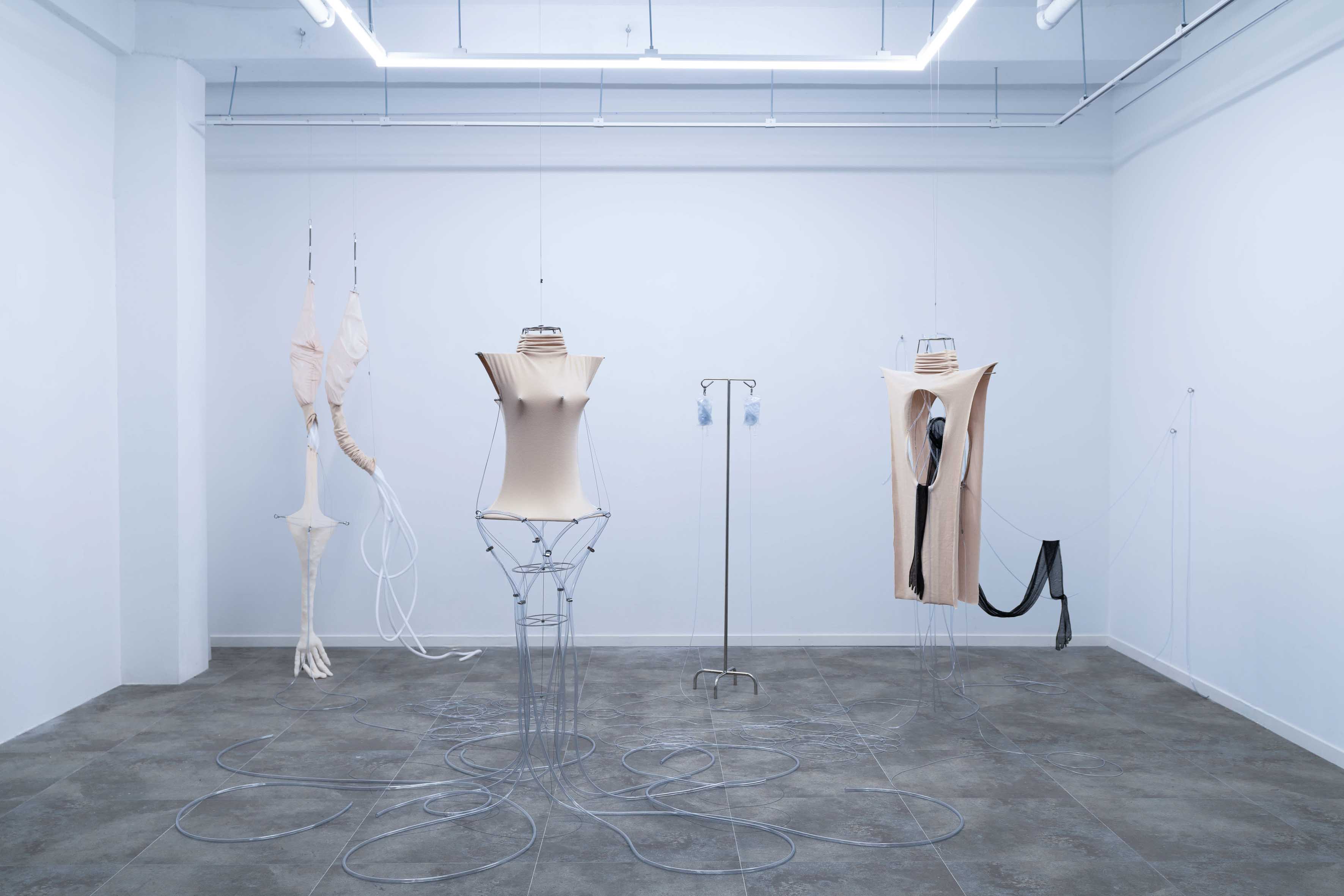 I REACH OUT TO YOU IN STRETCHED FORMS by HYUNSUNG PARK at J.MOVEMENT ARTSPACE [from 20241107 to 20241228] [Photo: Jaekyun Lee]