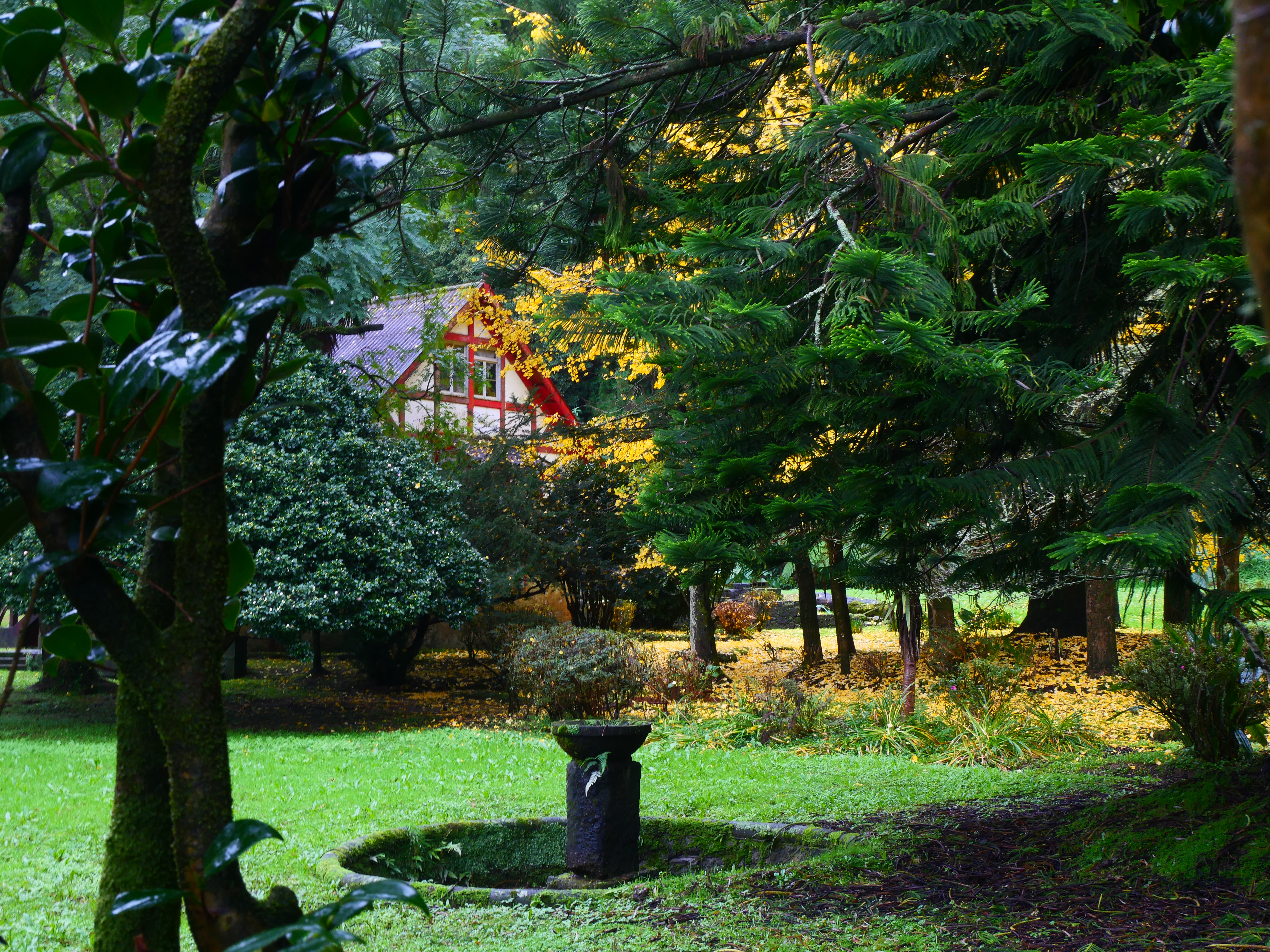 Beautiful houses near the Furnas Lake