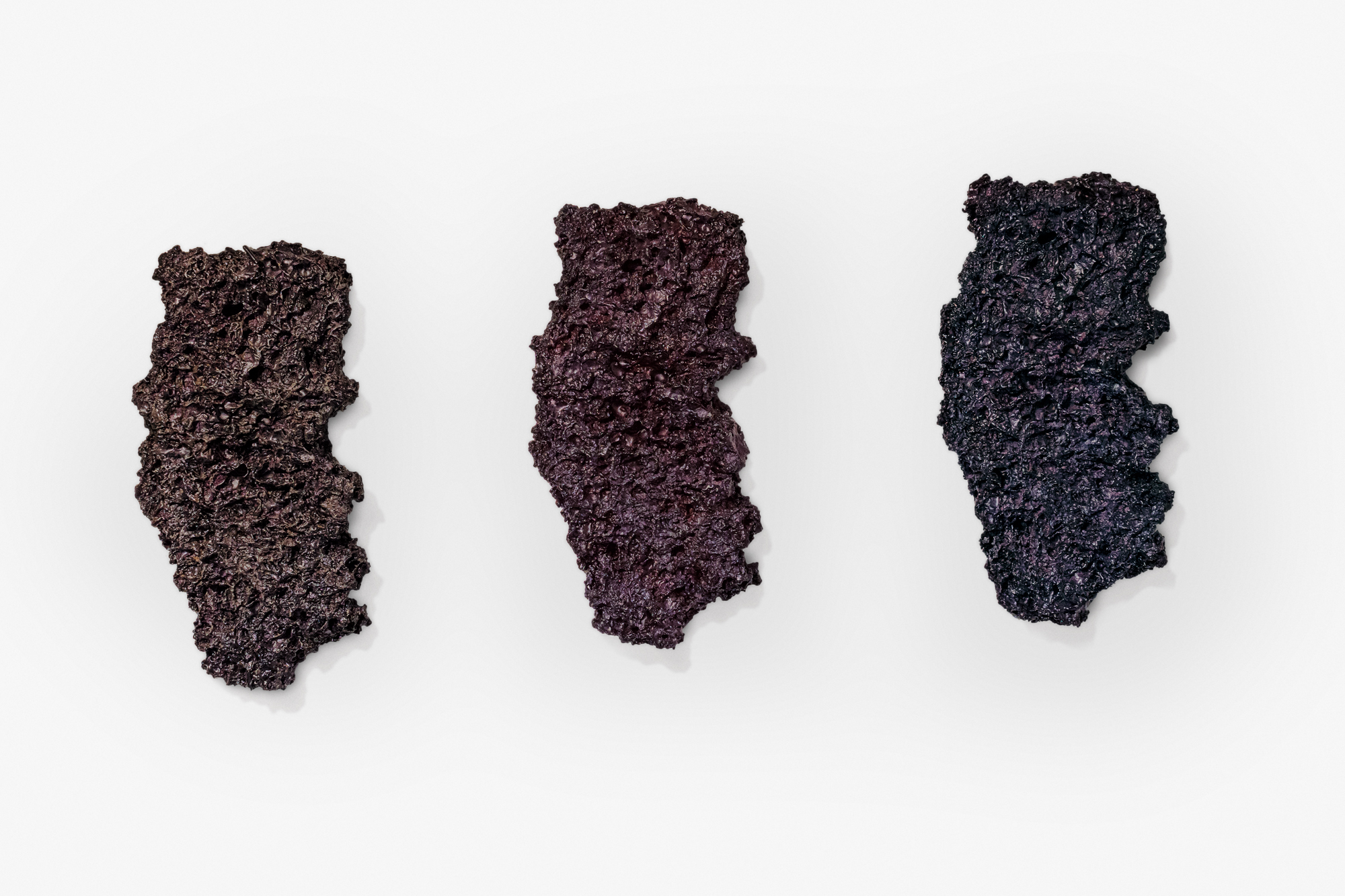 BIOMATRIX 8.1, 8.2, 8.3