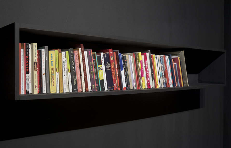 Cliteroeca (2017)  Wood Bookshelf with a selection of publications by a variety of authors. Dimension Variables. Edition of 3  