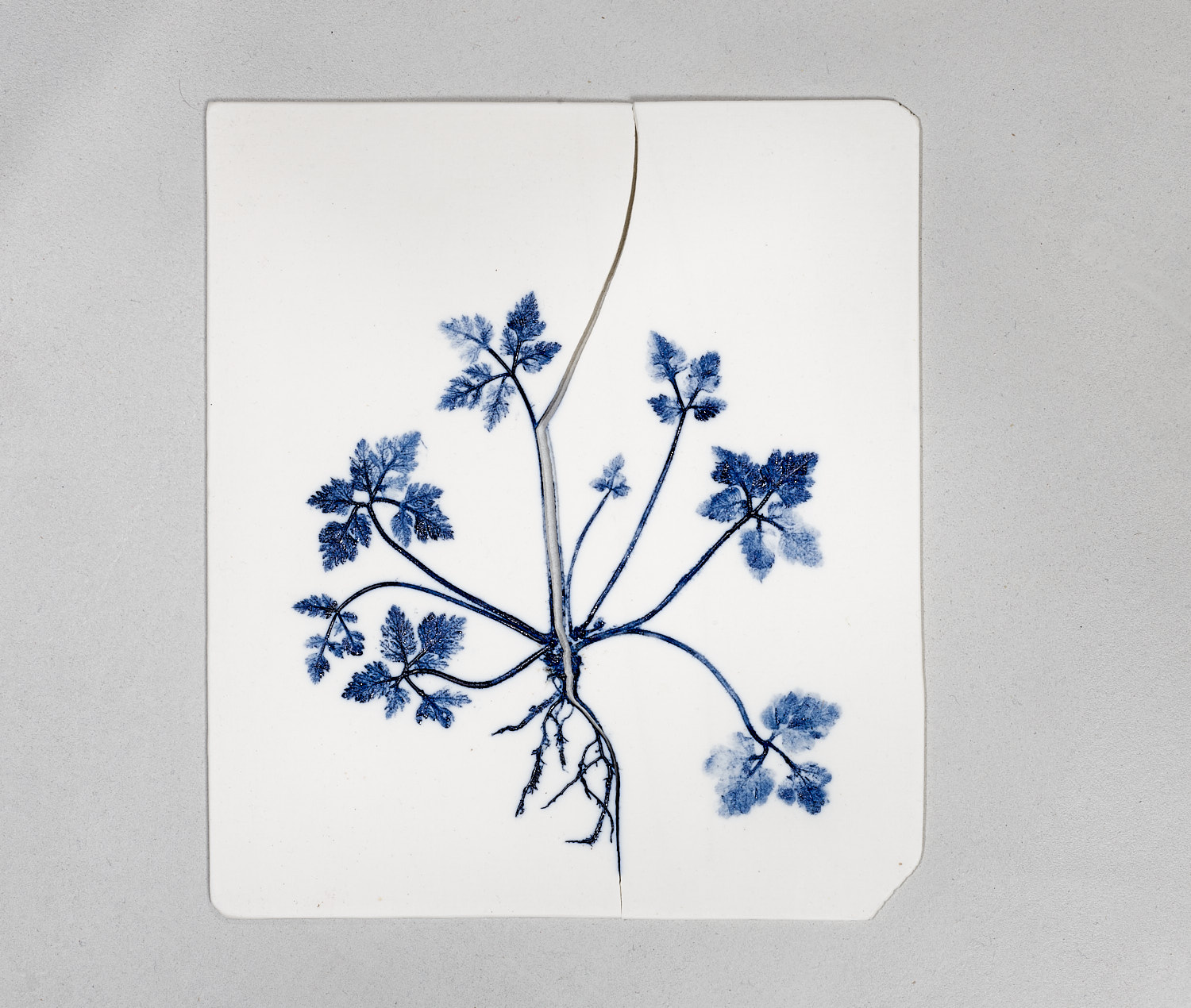 Garden weed (H: 23 W: 20cm)