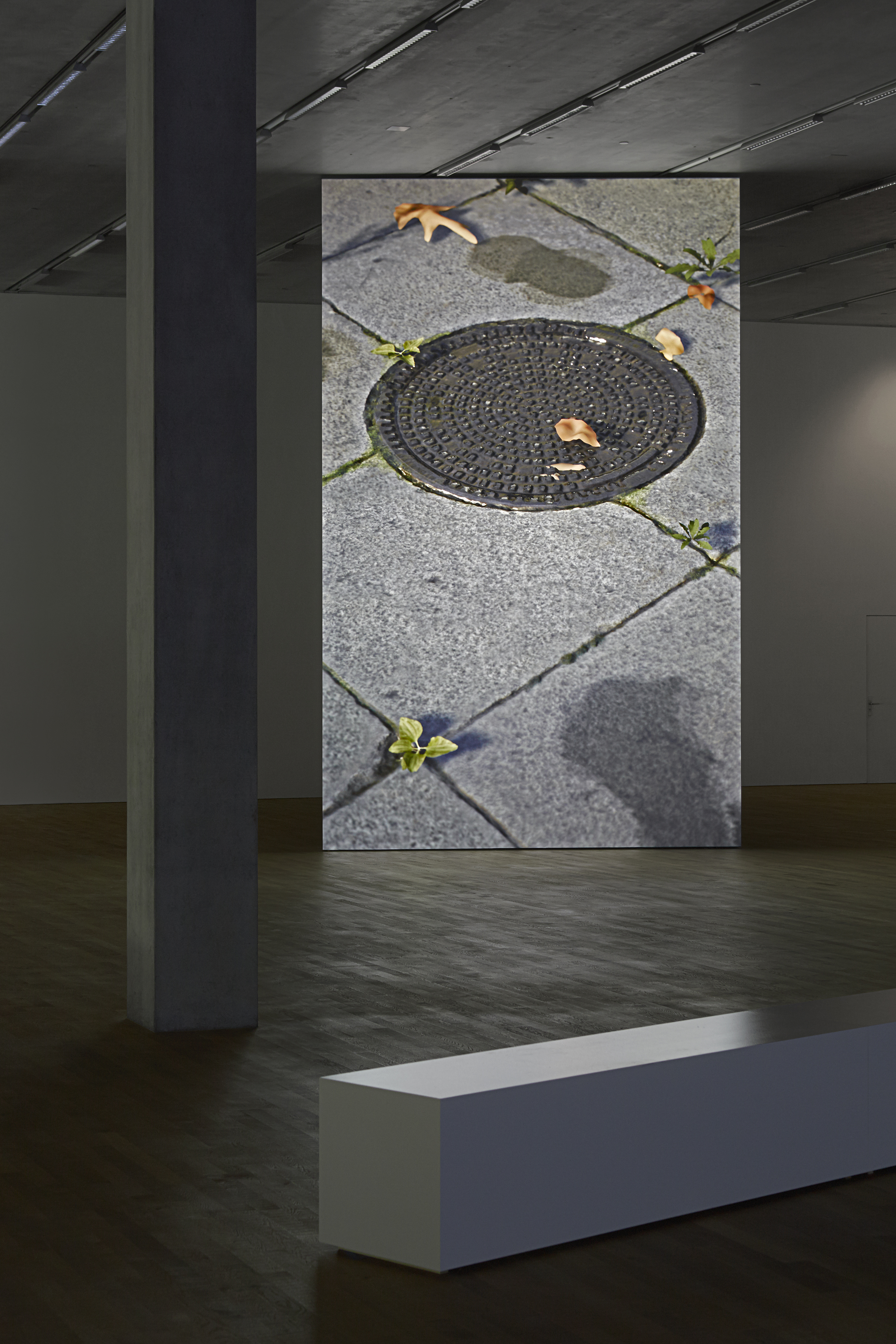 installation view at Schaulager, Basel, 2017 (photo Tomas Bisig, Basel)
