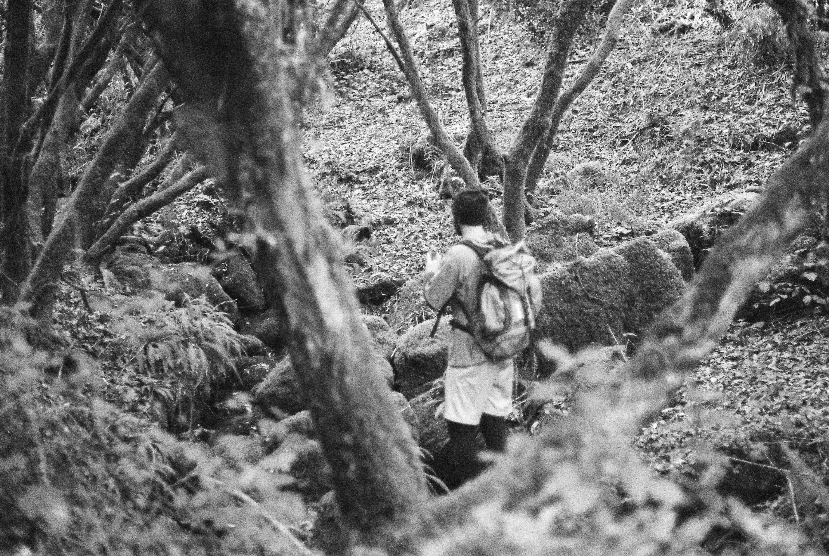 Rodas, Gerês Portugal, 2022, Canon FTb, Ilford HP5 Film