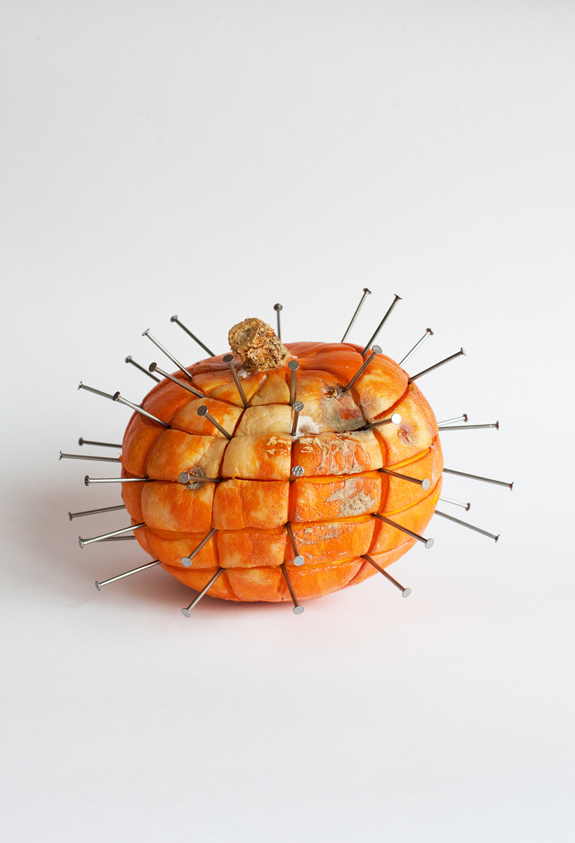 "The Pumpkin". 2018, pumpkin and nails, 20 x 20 x 20 cm