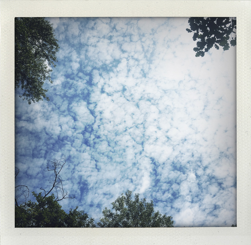 Esparron de Verdon 07/2020